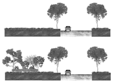 Forests 14 01892 i001