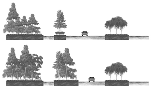 Forests 14 01892 i002