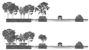 Forests 14 01892 i005