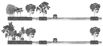 Forests 14 01892 i006