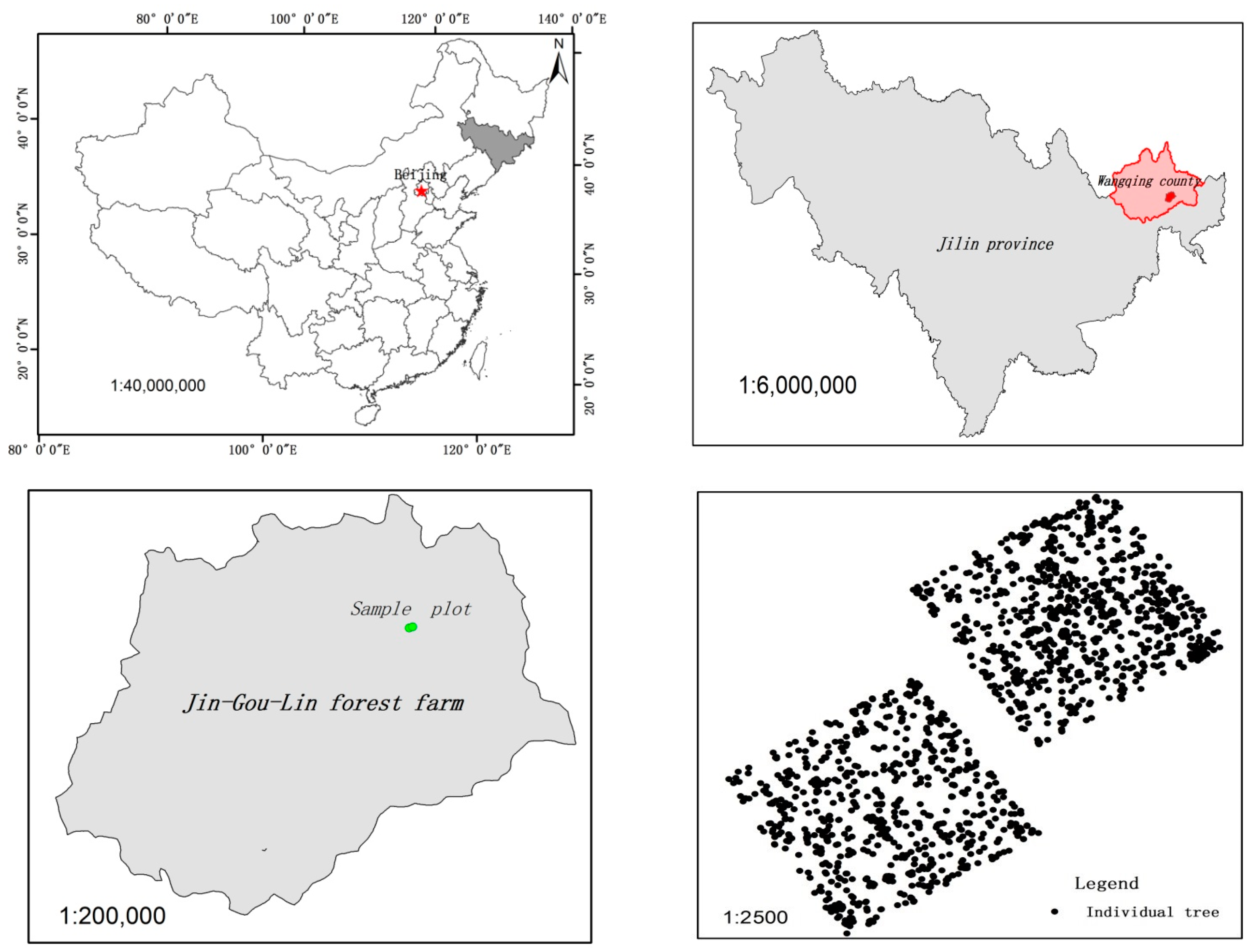 Forests 14 01896 g001