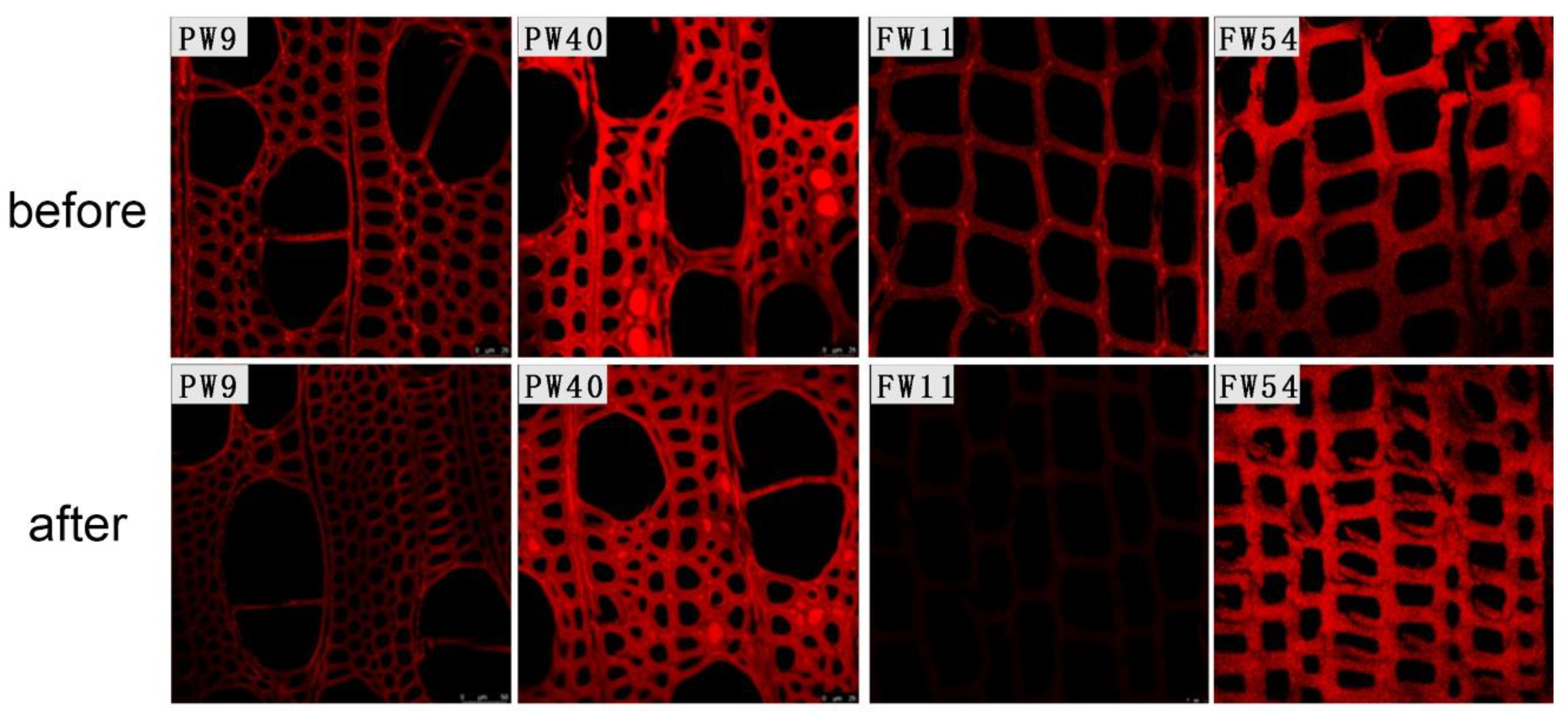Forests 14 01901 g003