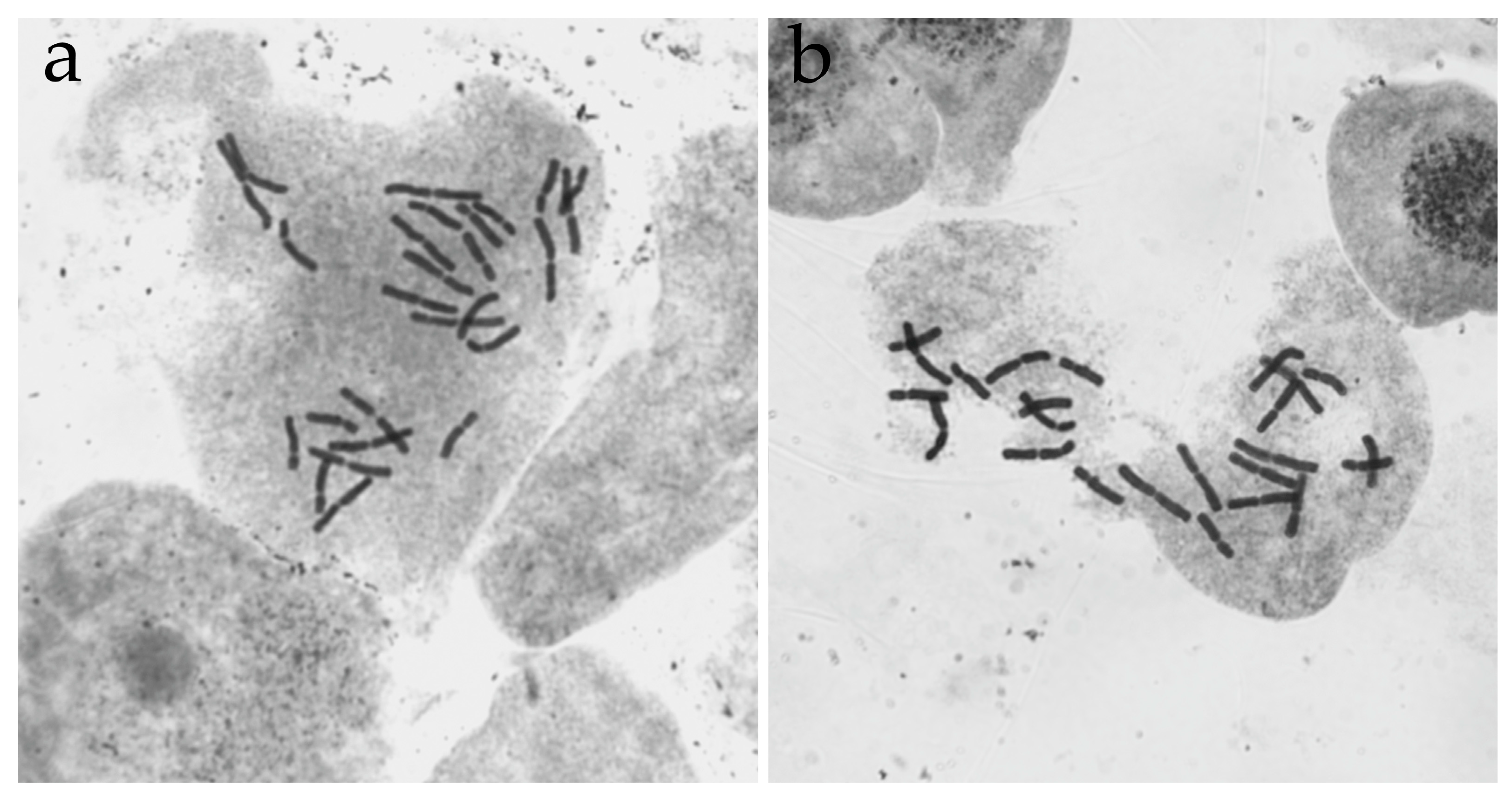 Forests 14 01920 g005