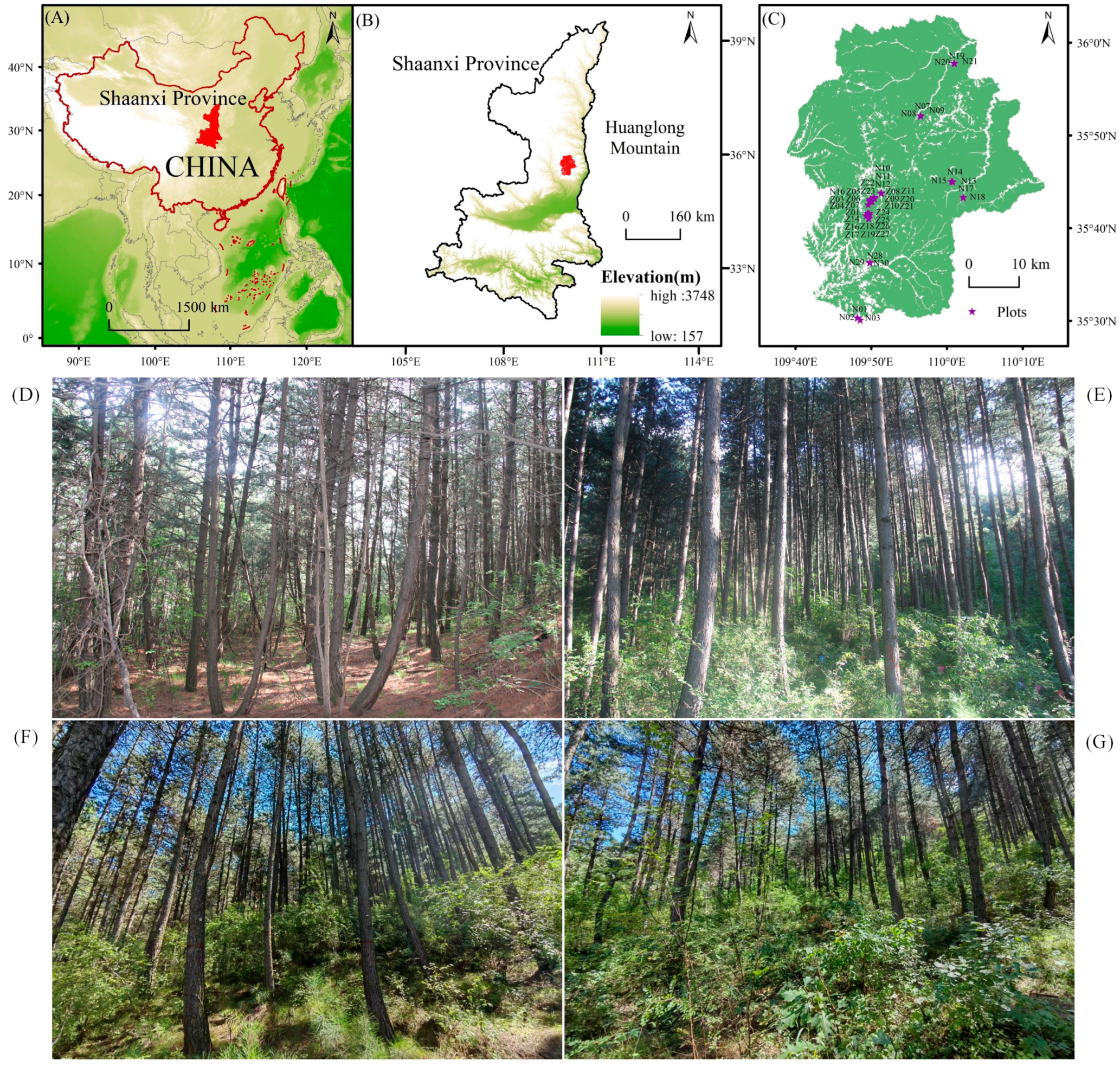 Forests 14 01921 g001