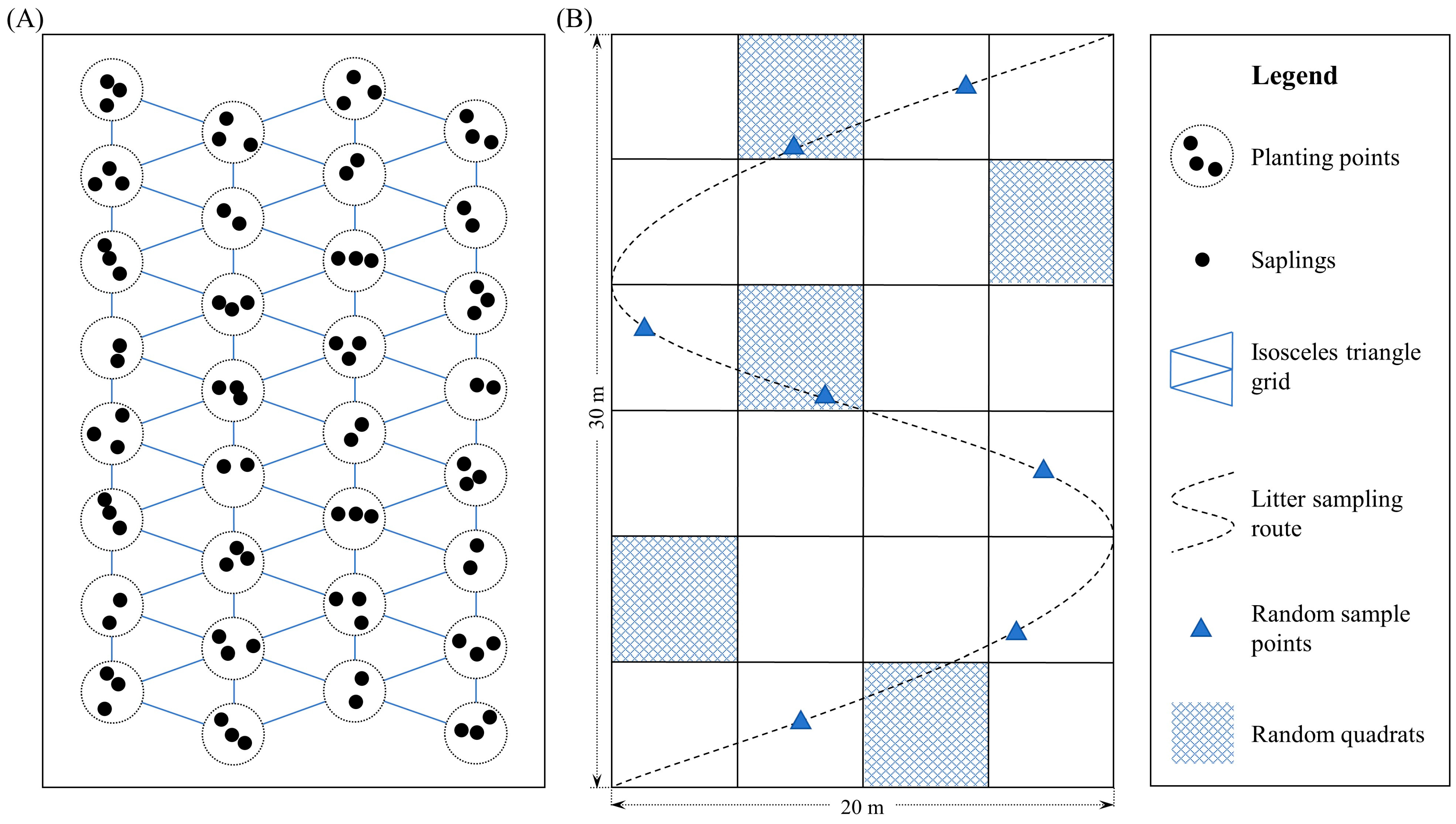 Forests 14 01921 g002
