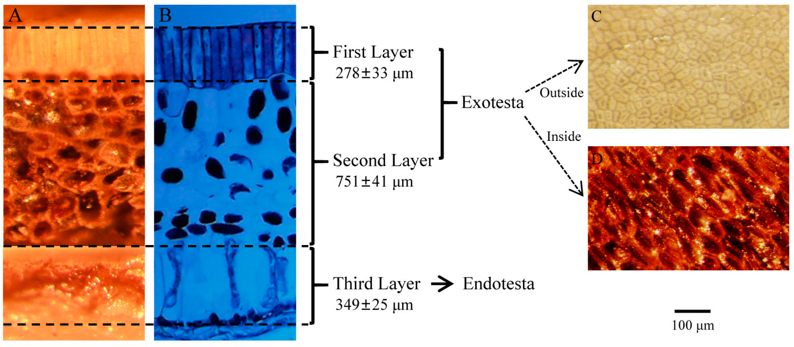 Forests 14 01928 g002