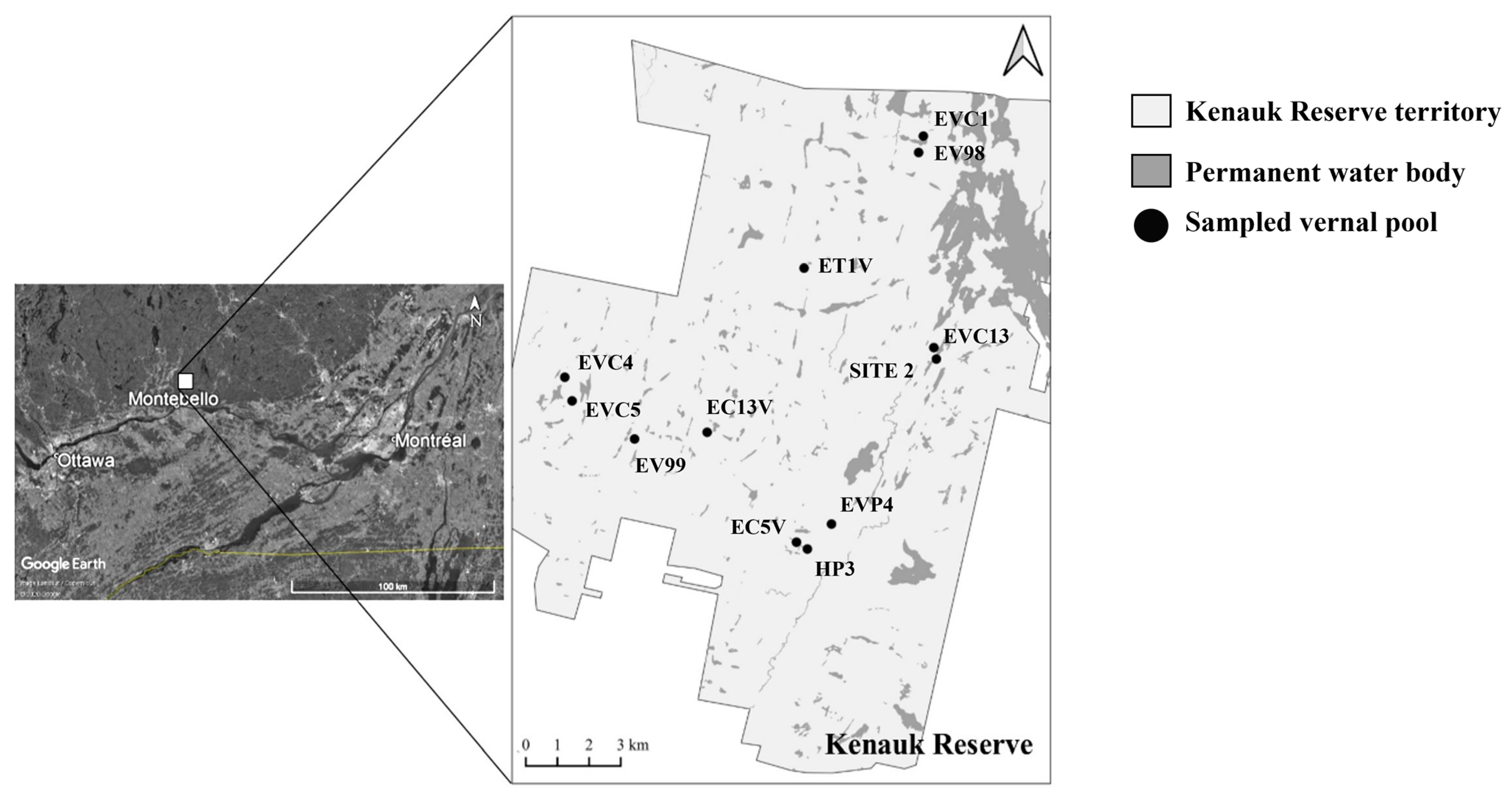 Forests 14 01930 g001