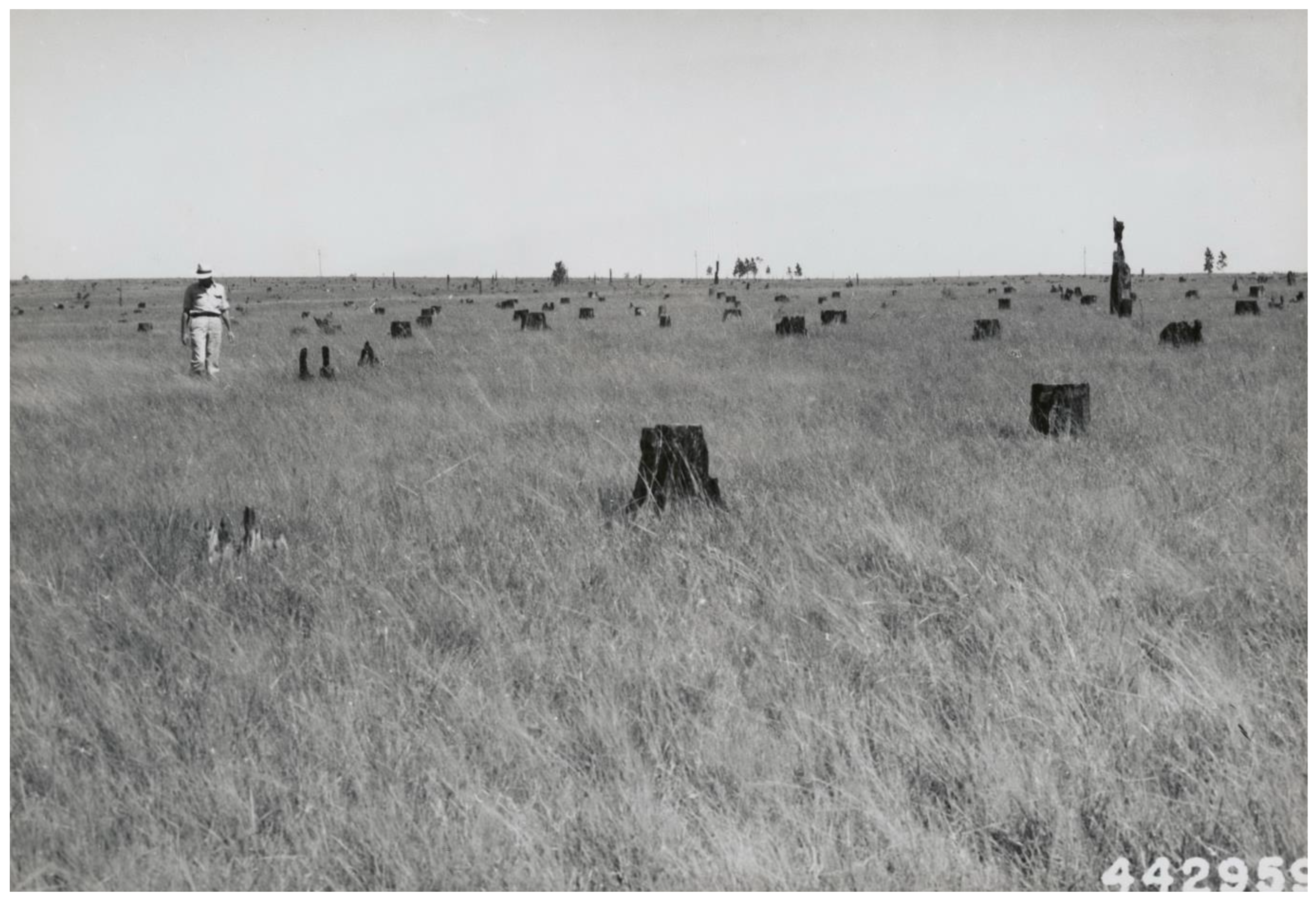 Forests 14 01938 g005