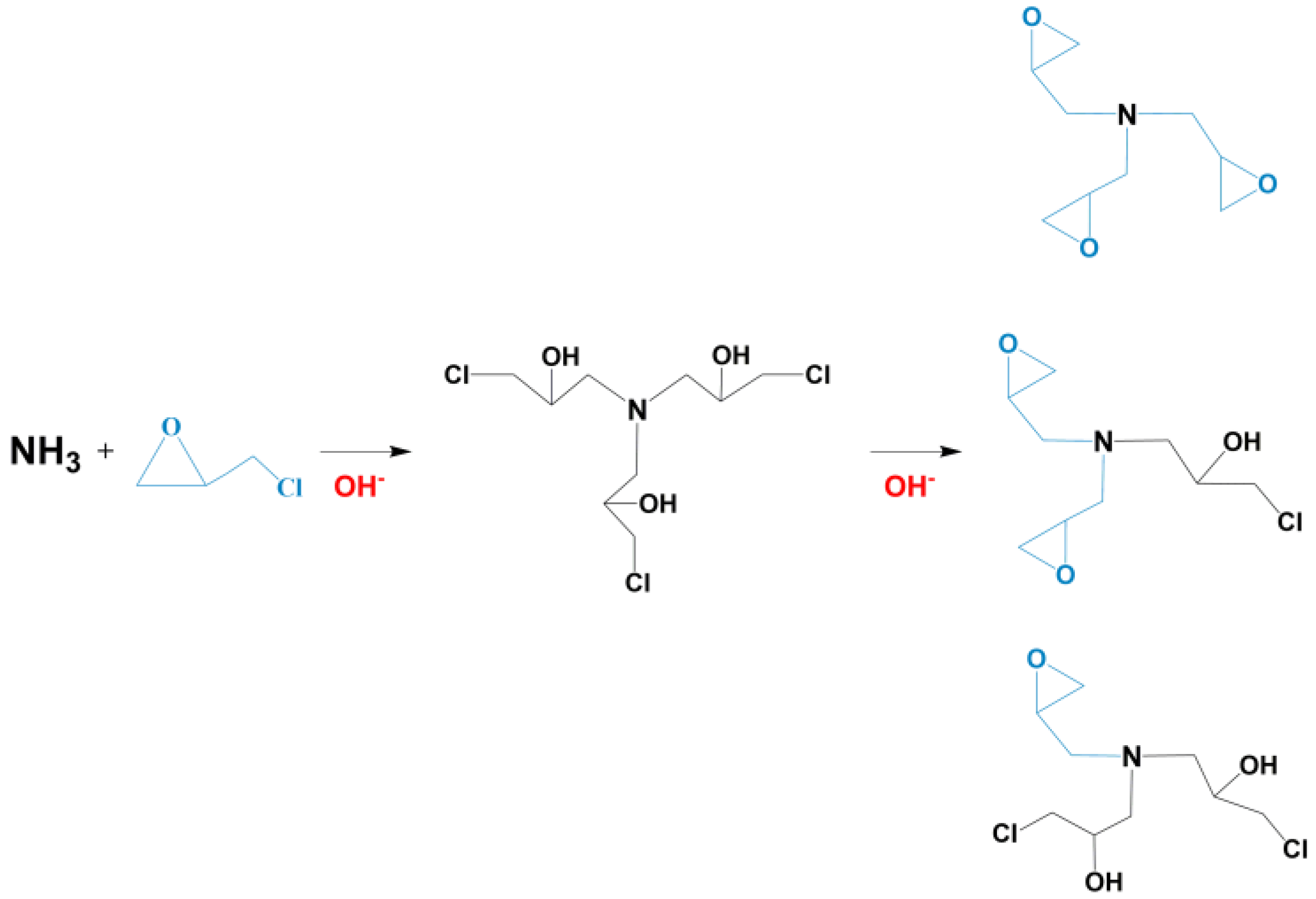 Forests 14 01947 g001