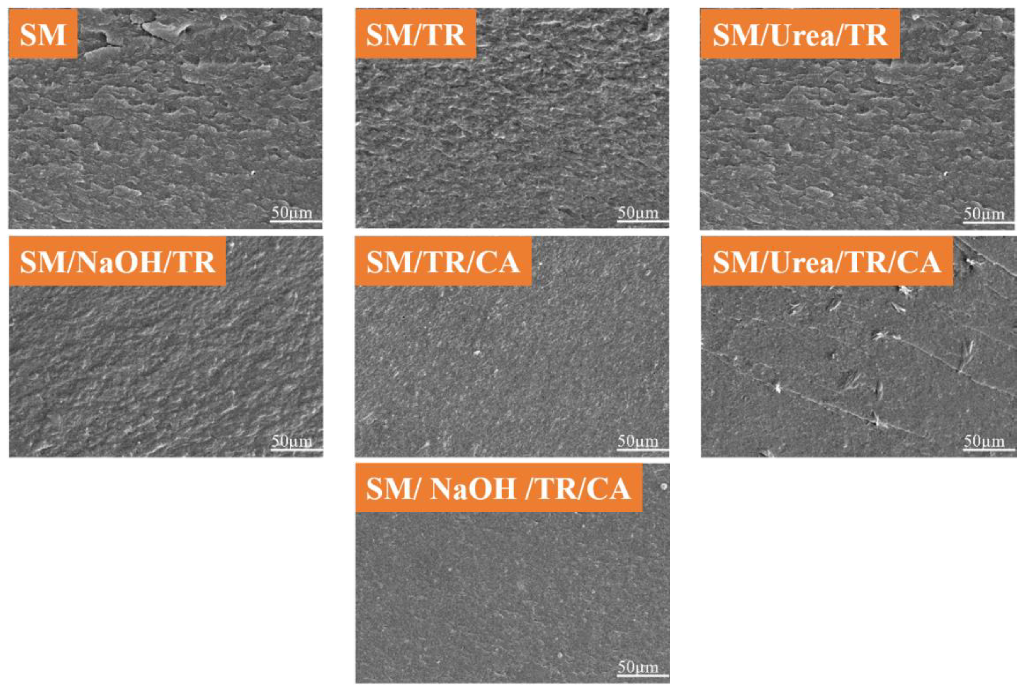 Forests 14 01947 g008