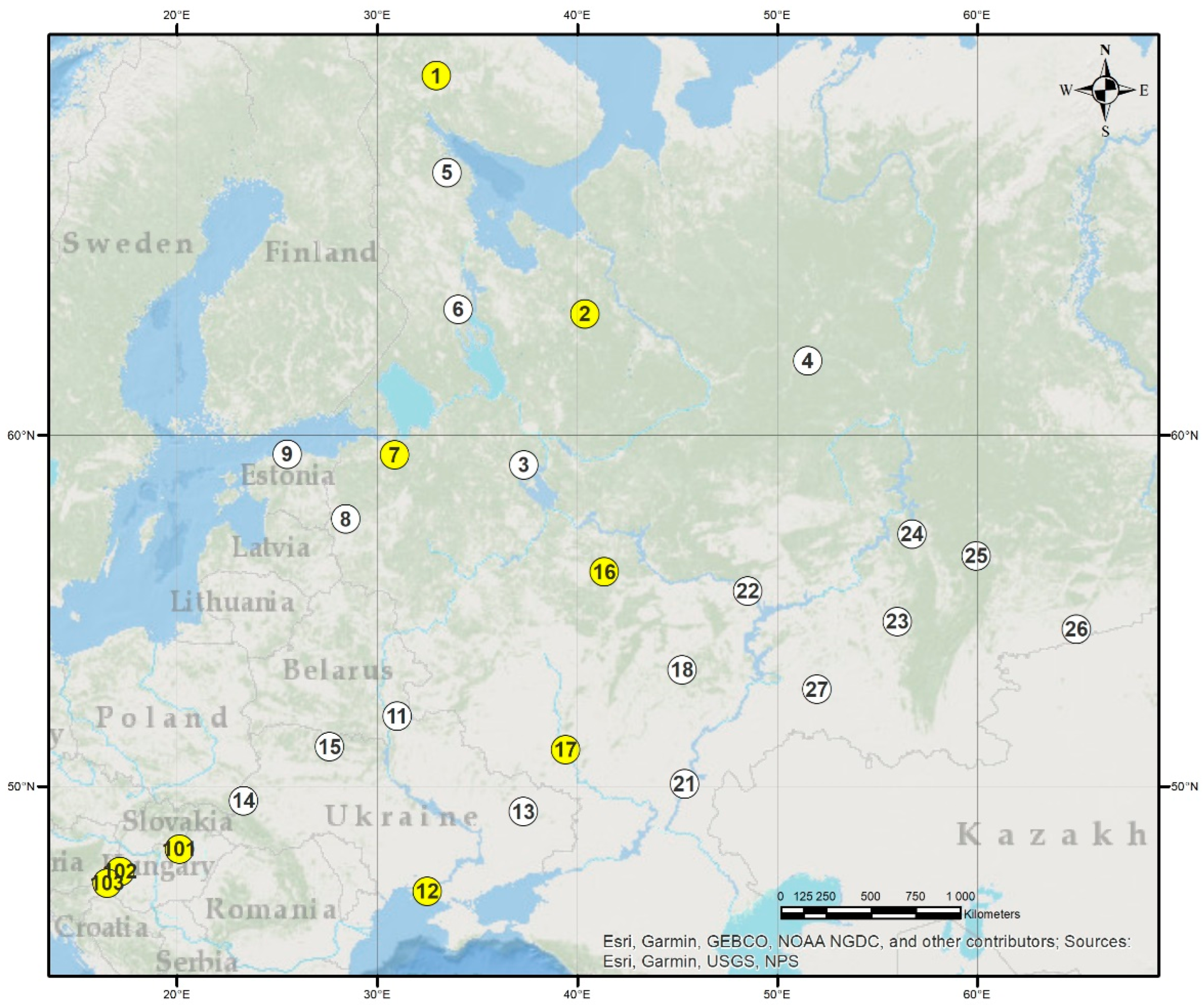 Forests 14 01950 g001