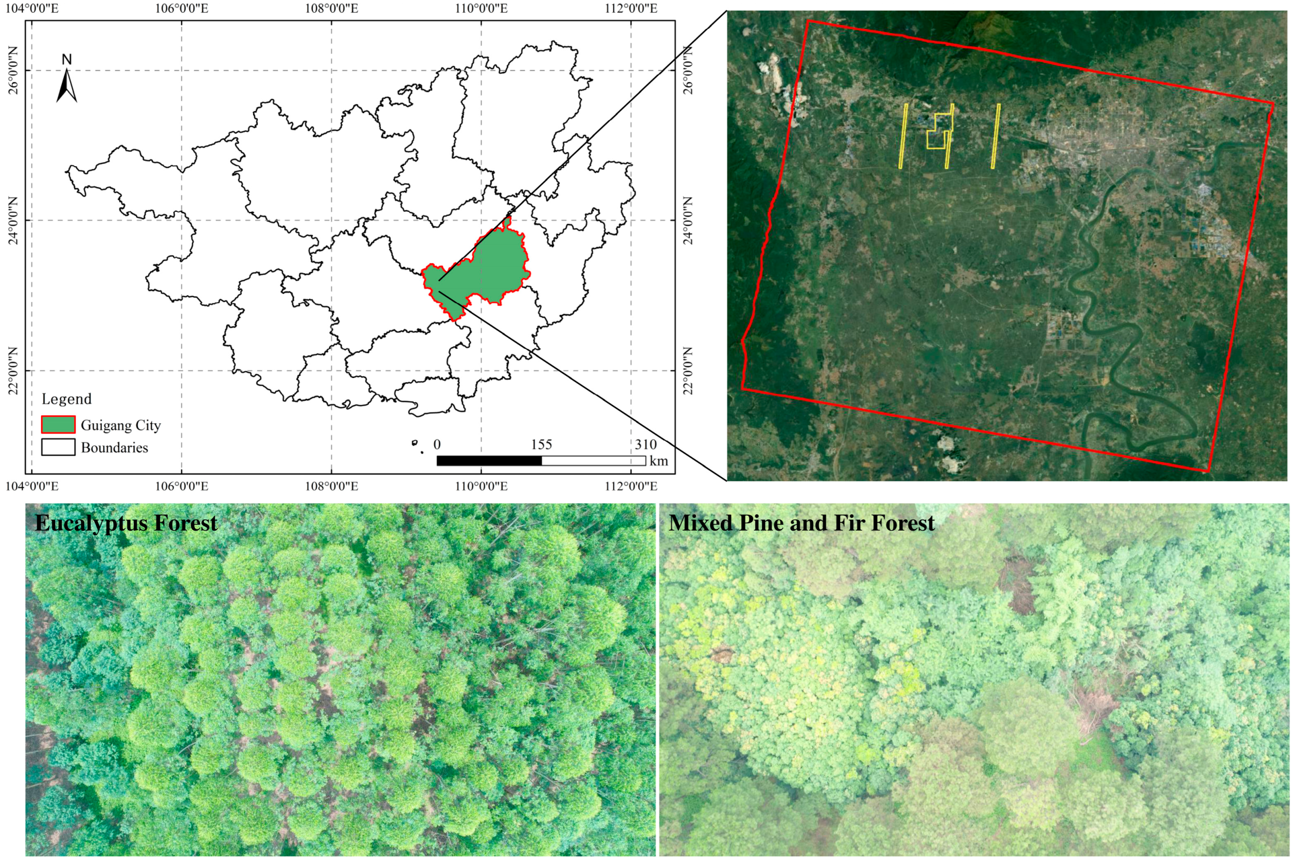 Forests 14 01953 g001