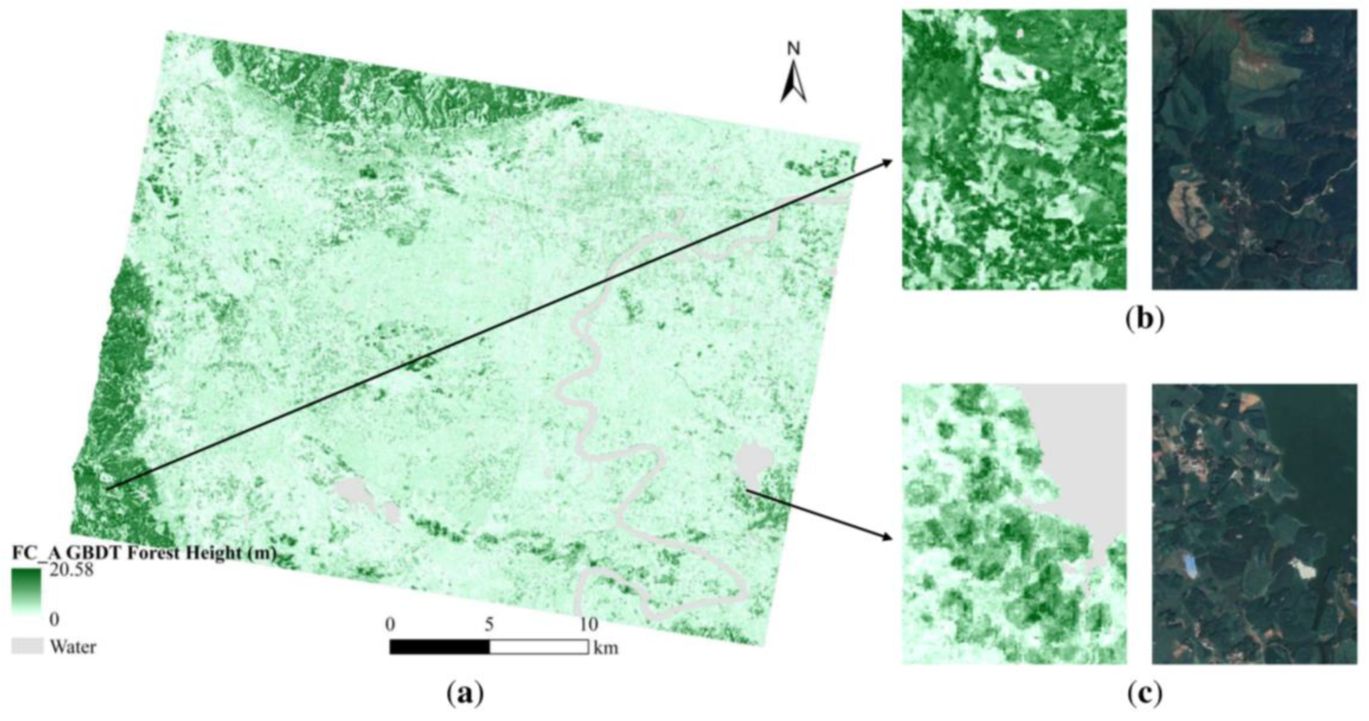 Forests 14 01953 g012