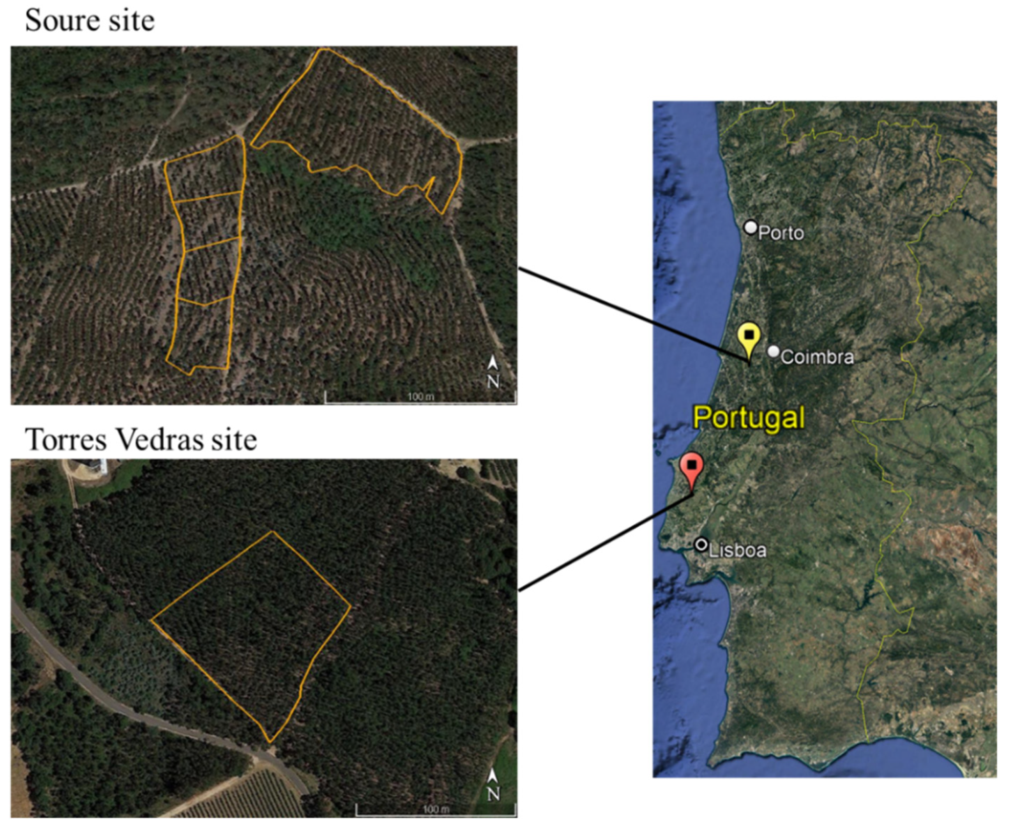 Forests 14 01958 g001
