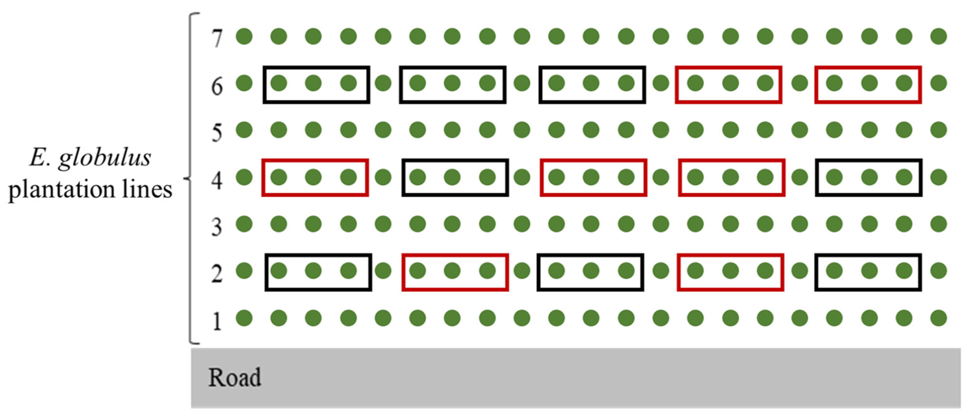 Forests 14 01958 g002