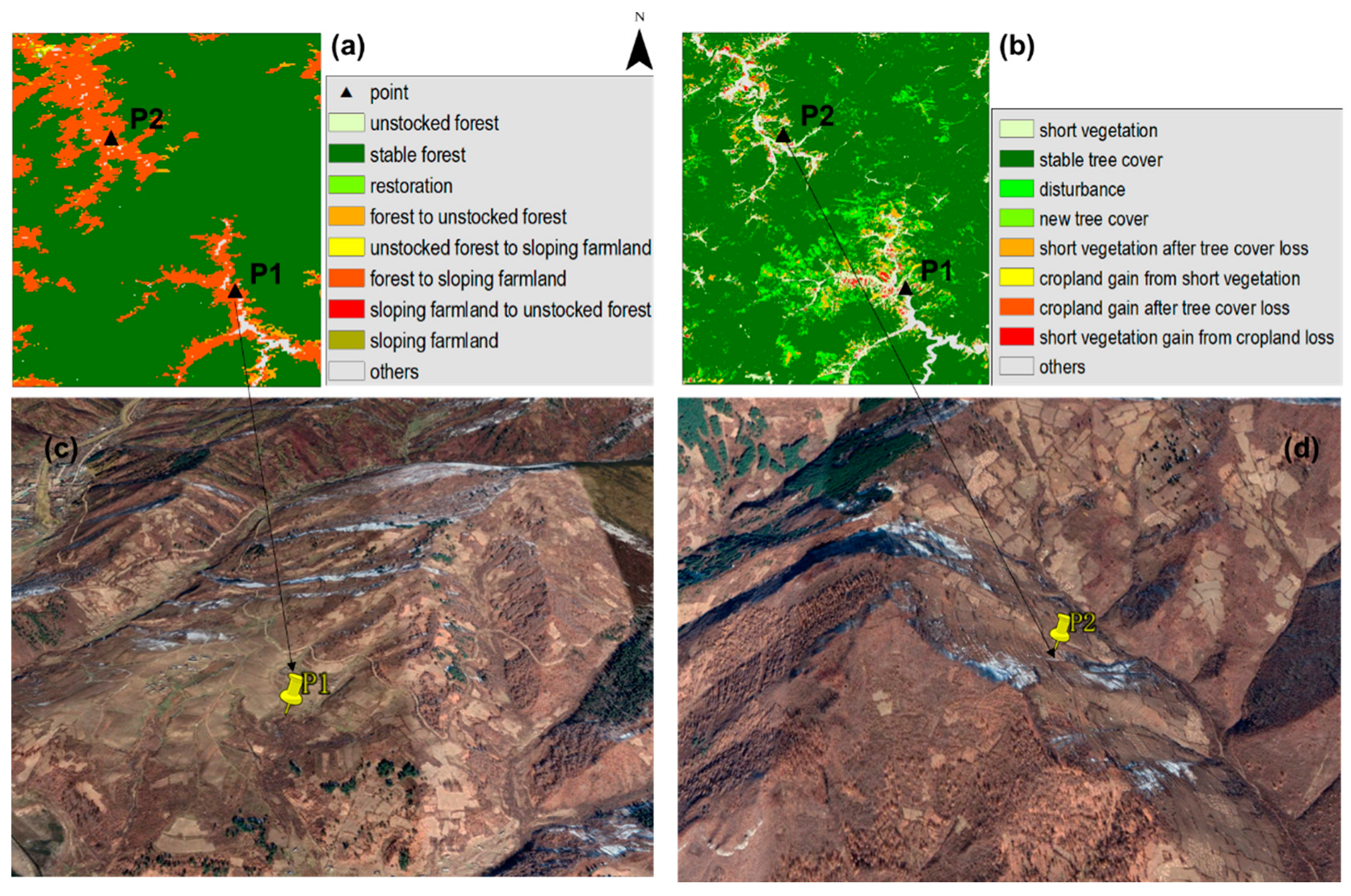 Forests 14 01966 g009