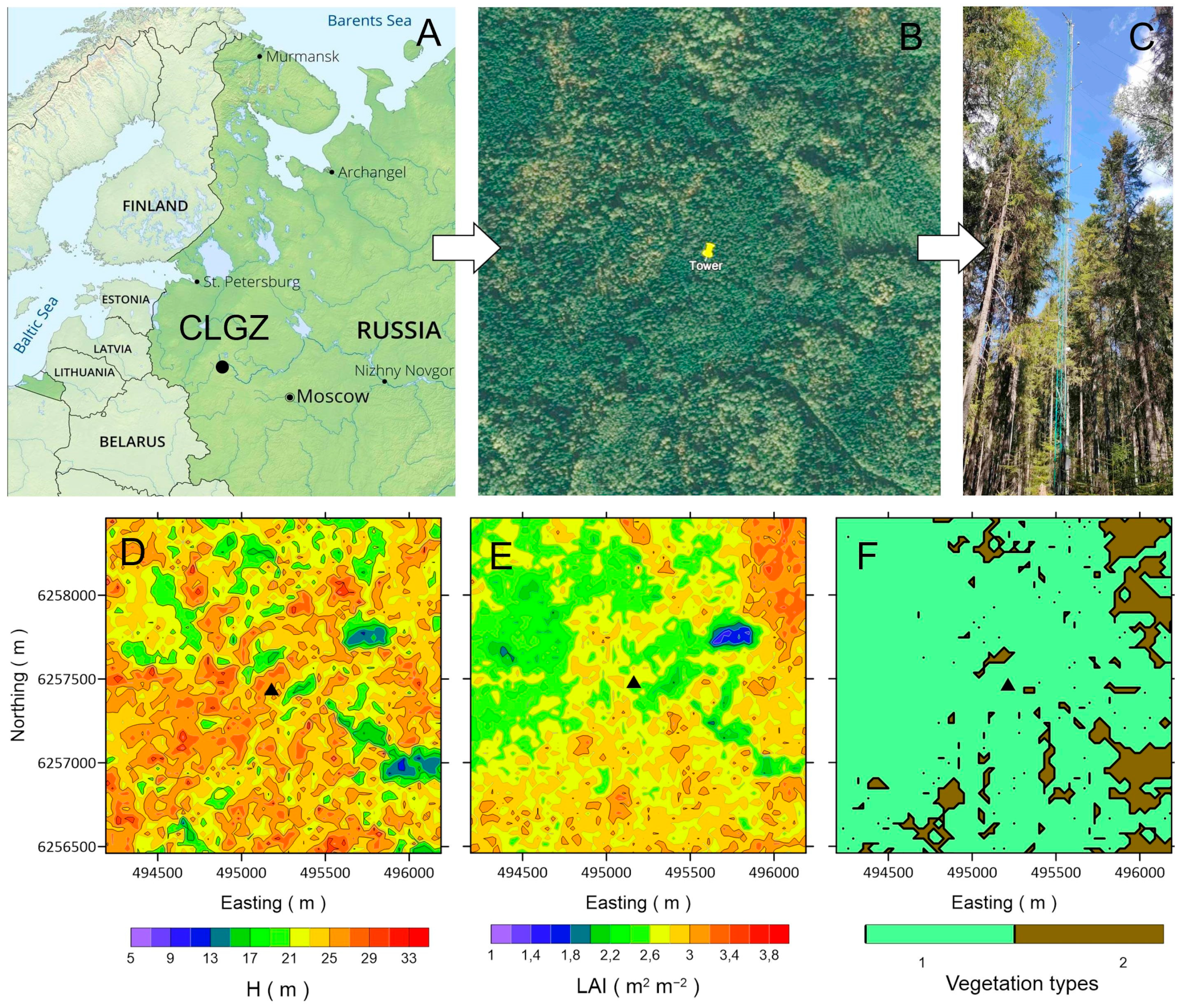 Forests 14 01968 g001 Forests 14 01968 g001