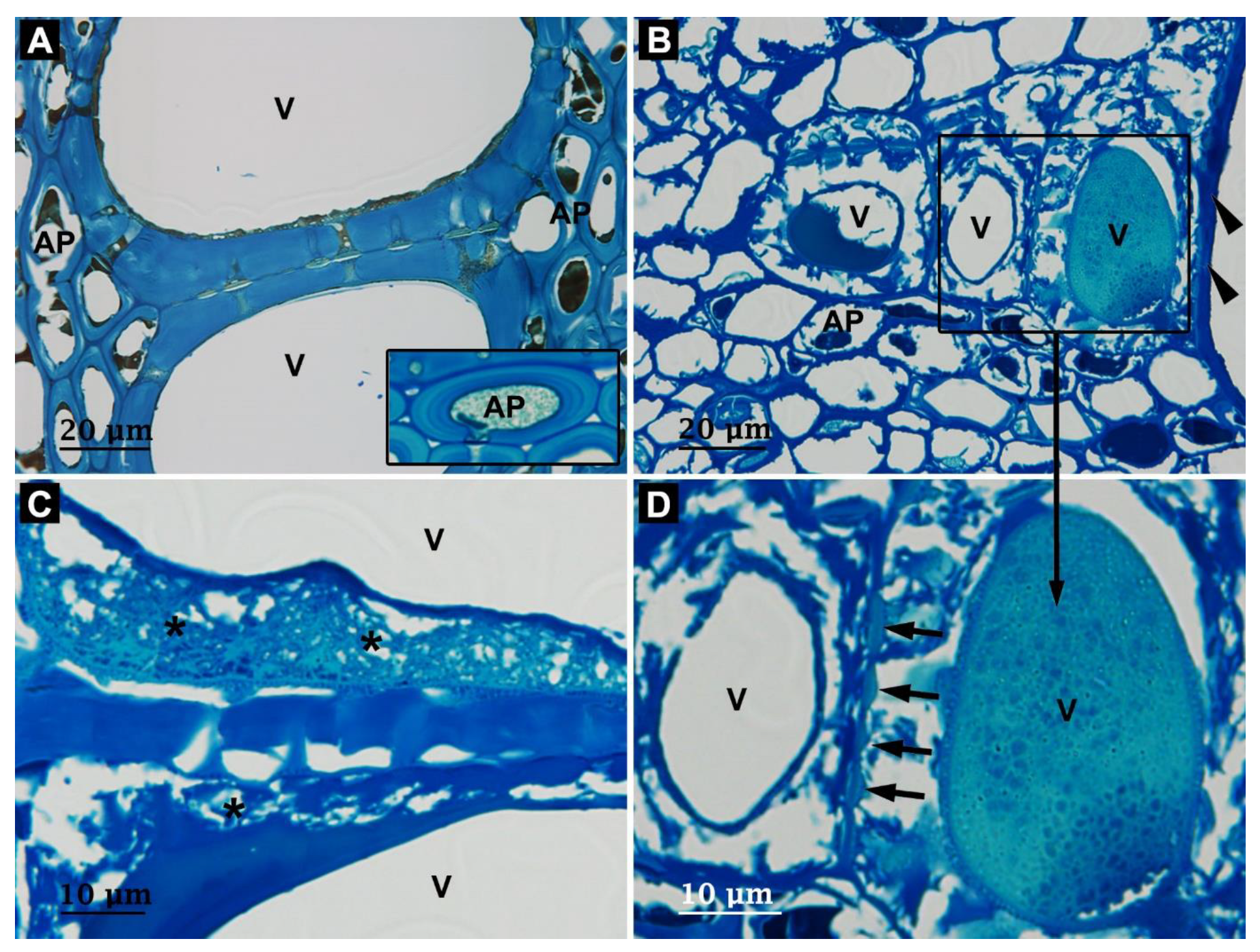 Forests 14 01992 g008
