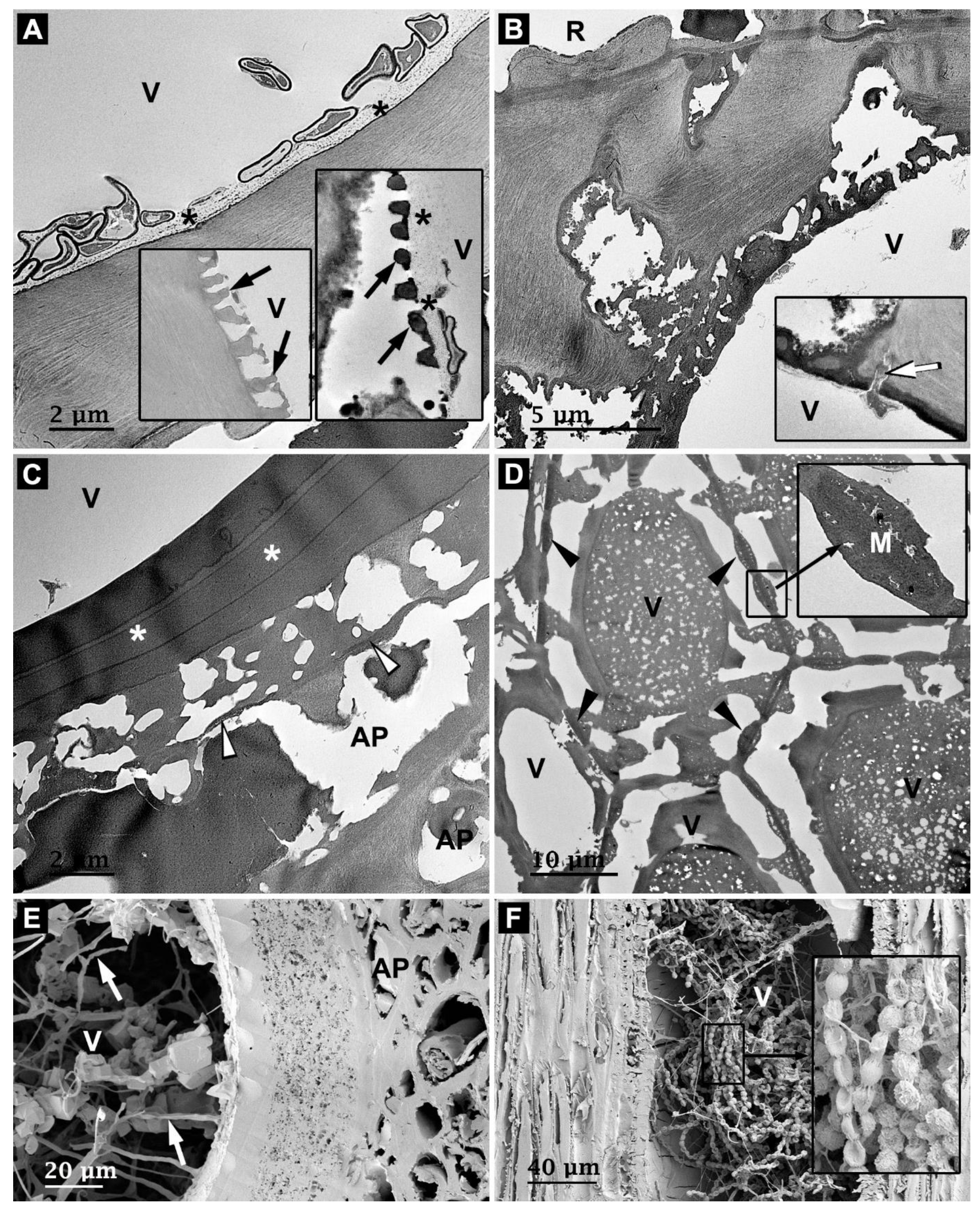 Forests 14 01992 g009