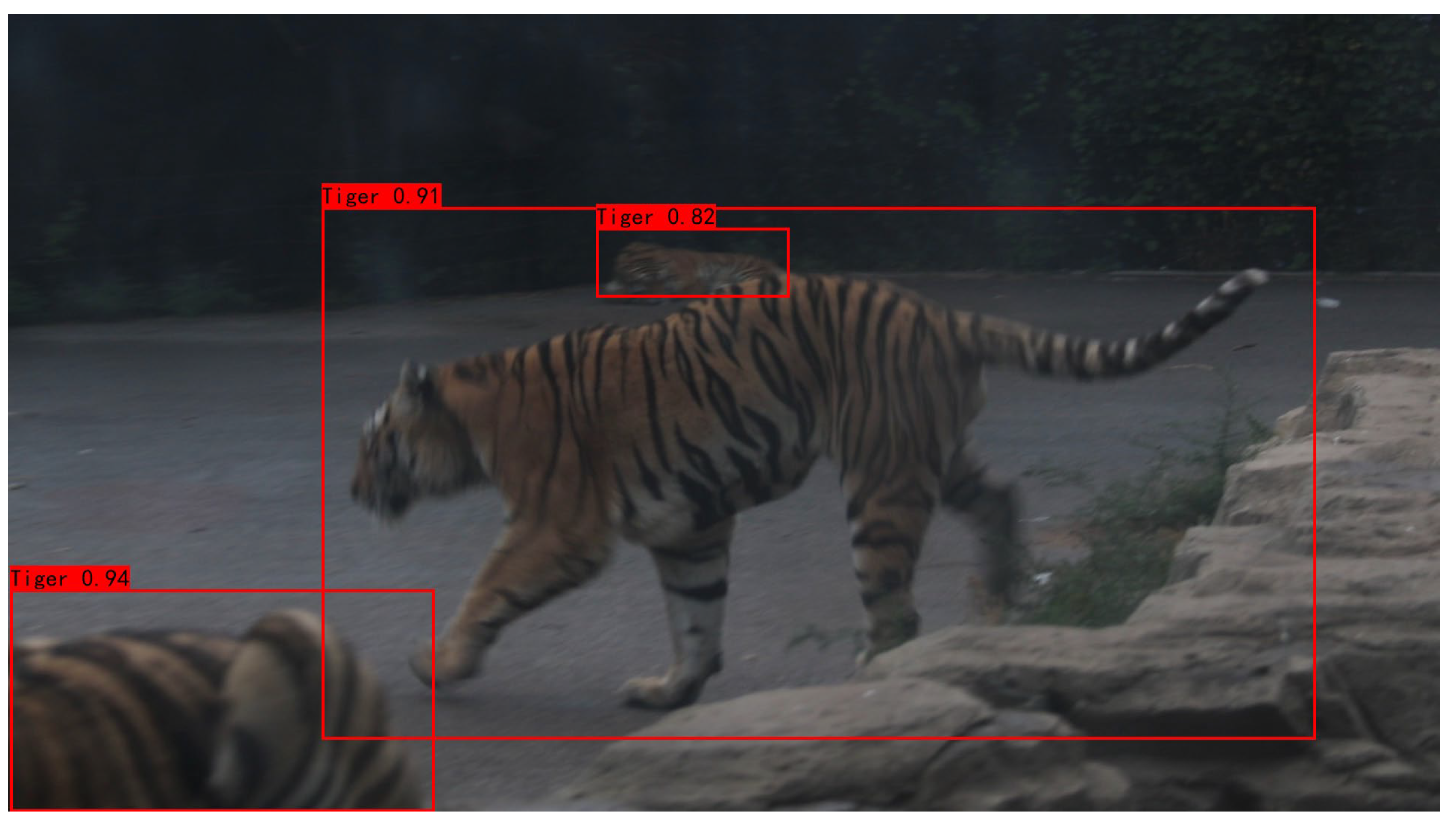 Forests 14 02000 g008