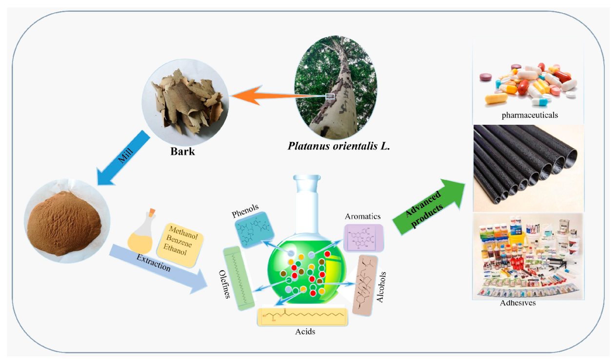Forests 14 02002 g001
