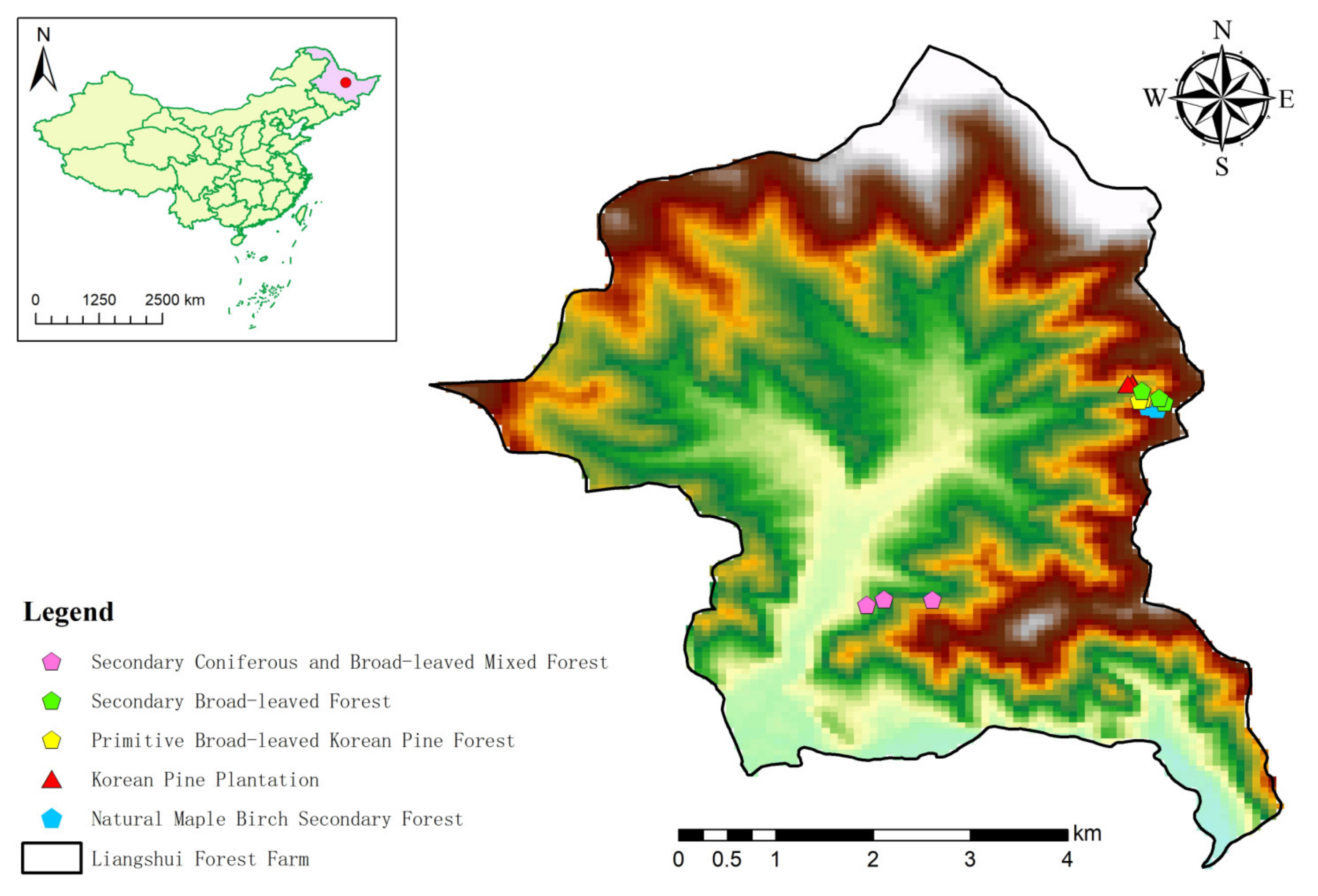 Forests 14 02010 g001