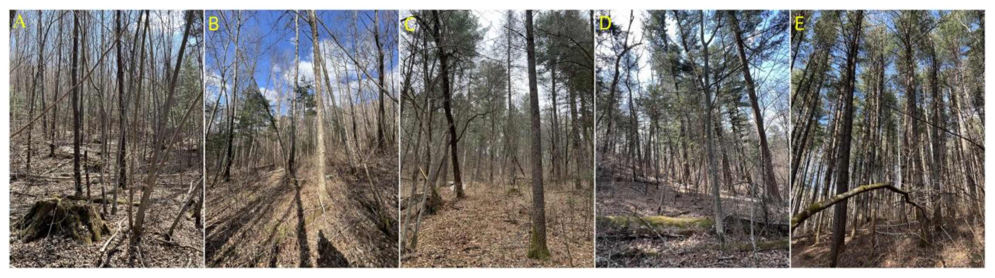 Forests 14 02010 g002