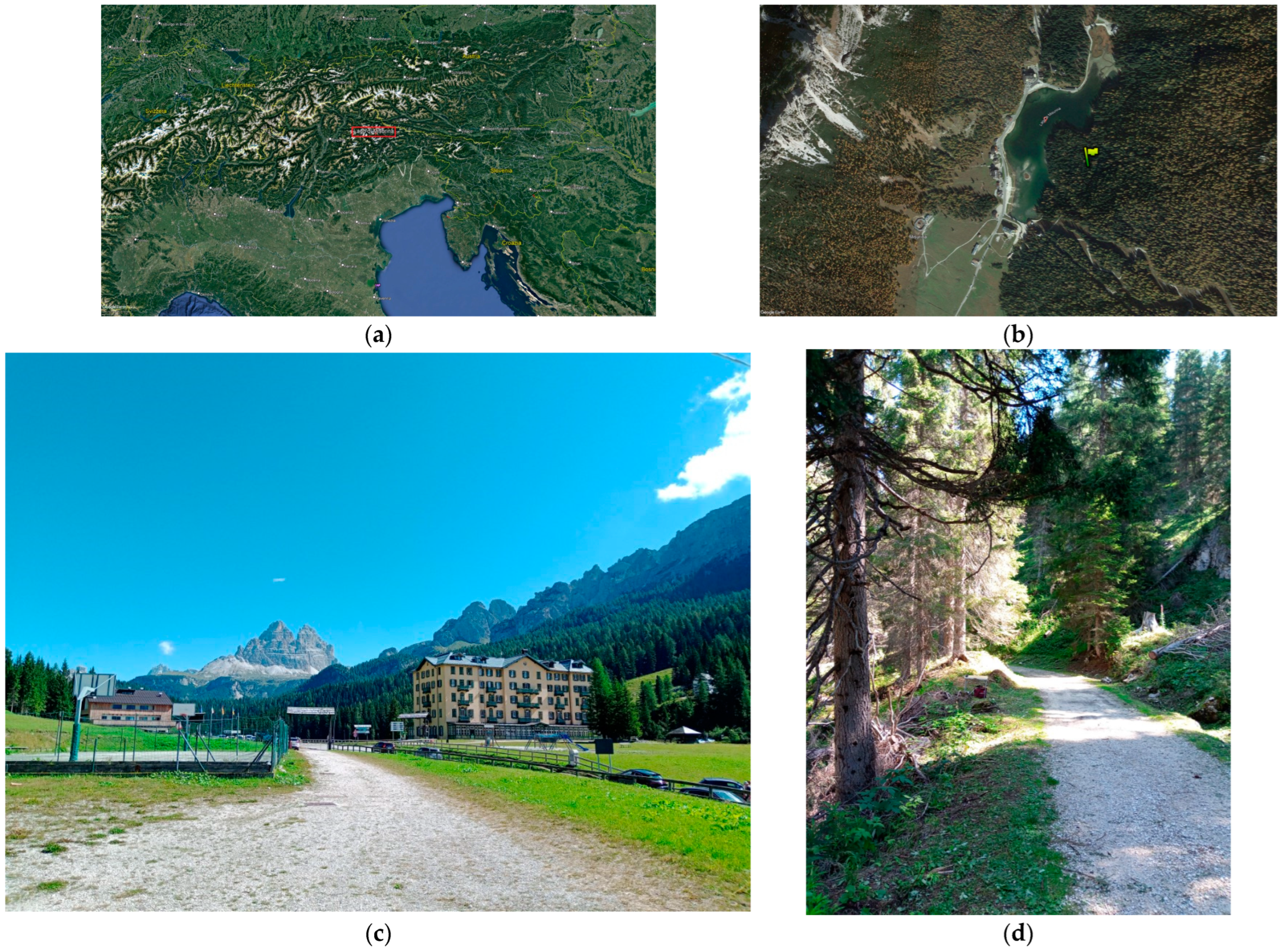 Forests 14 02012 g001