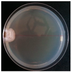 Forests 14 02029 i024