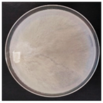 Forests 14 02029 i029