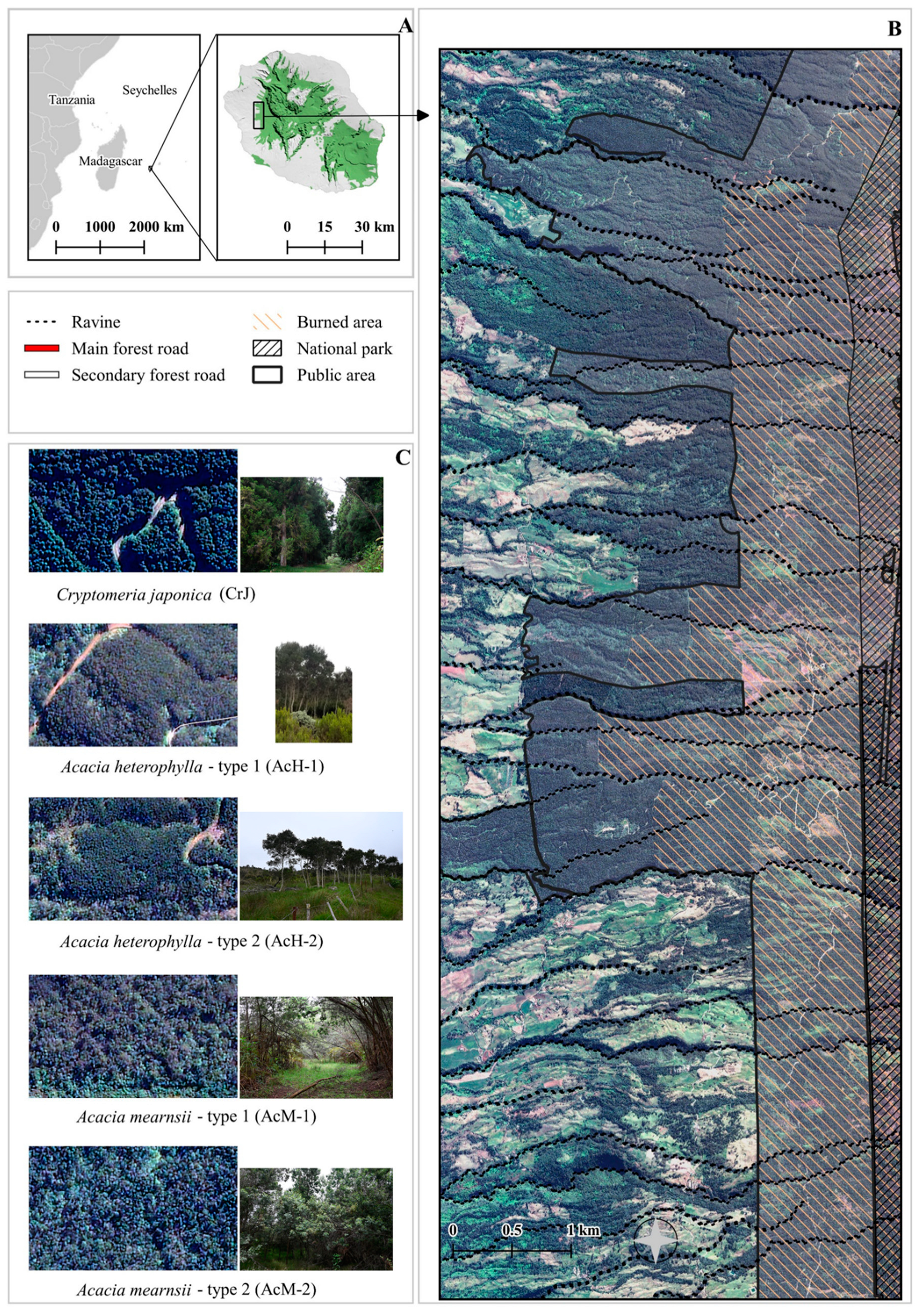 Forests 14 02030 g001