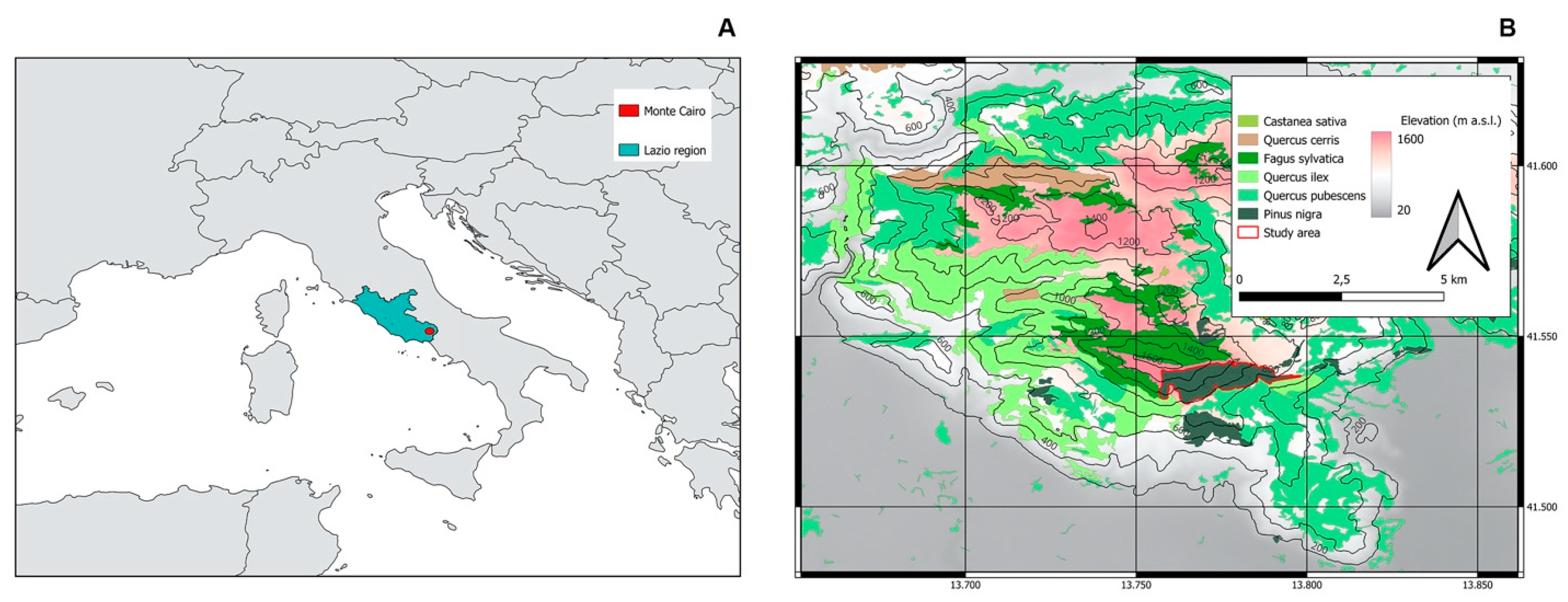 Forests 14 02033 g001