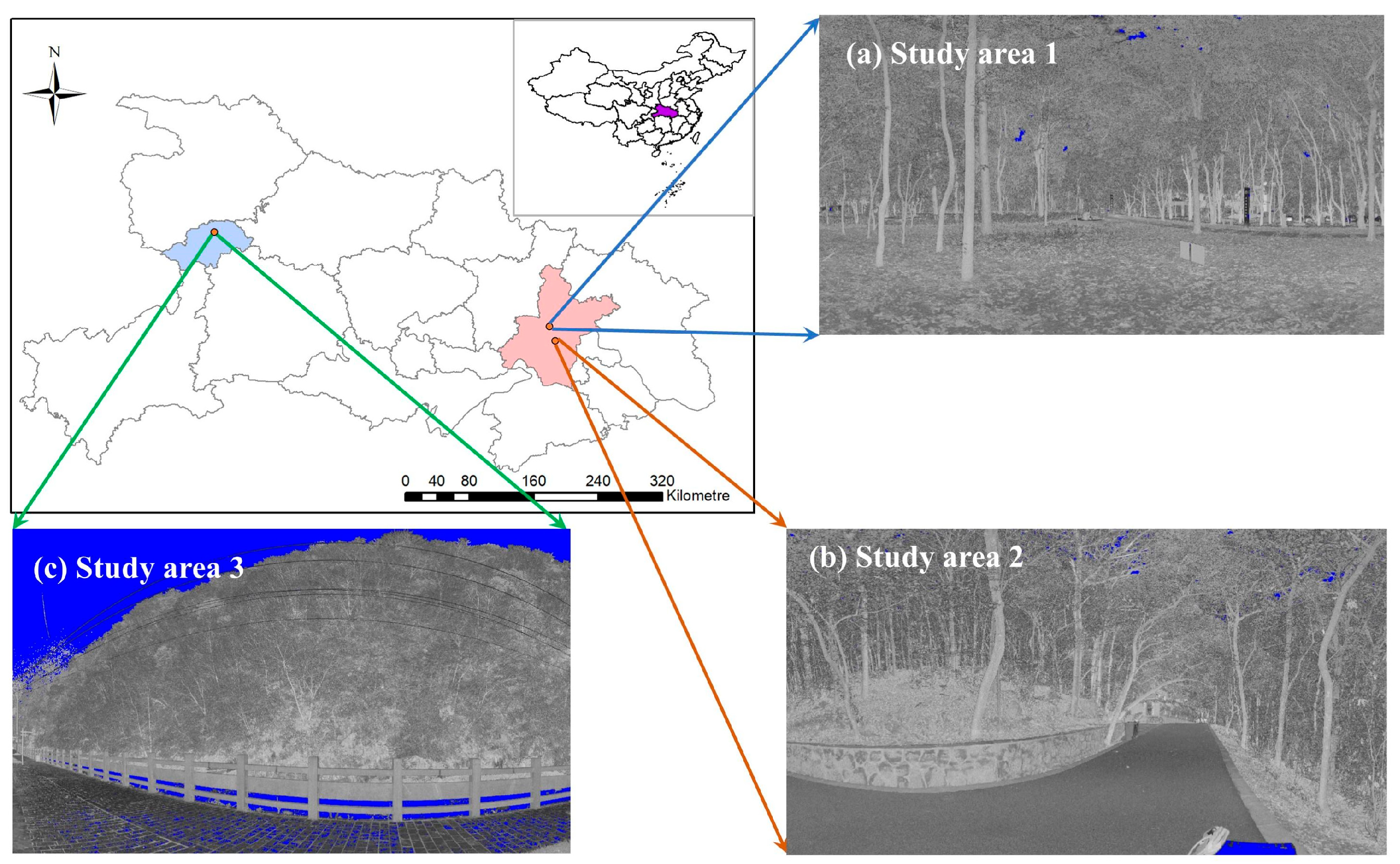 Forests 14 02035 g001