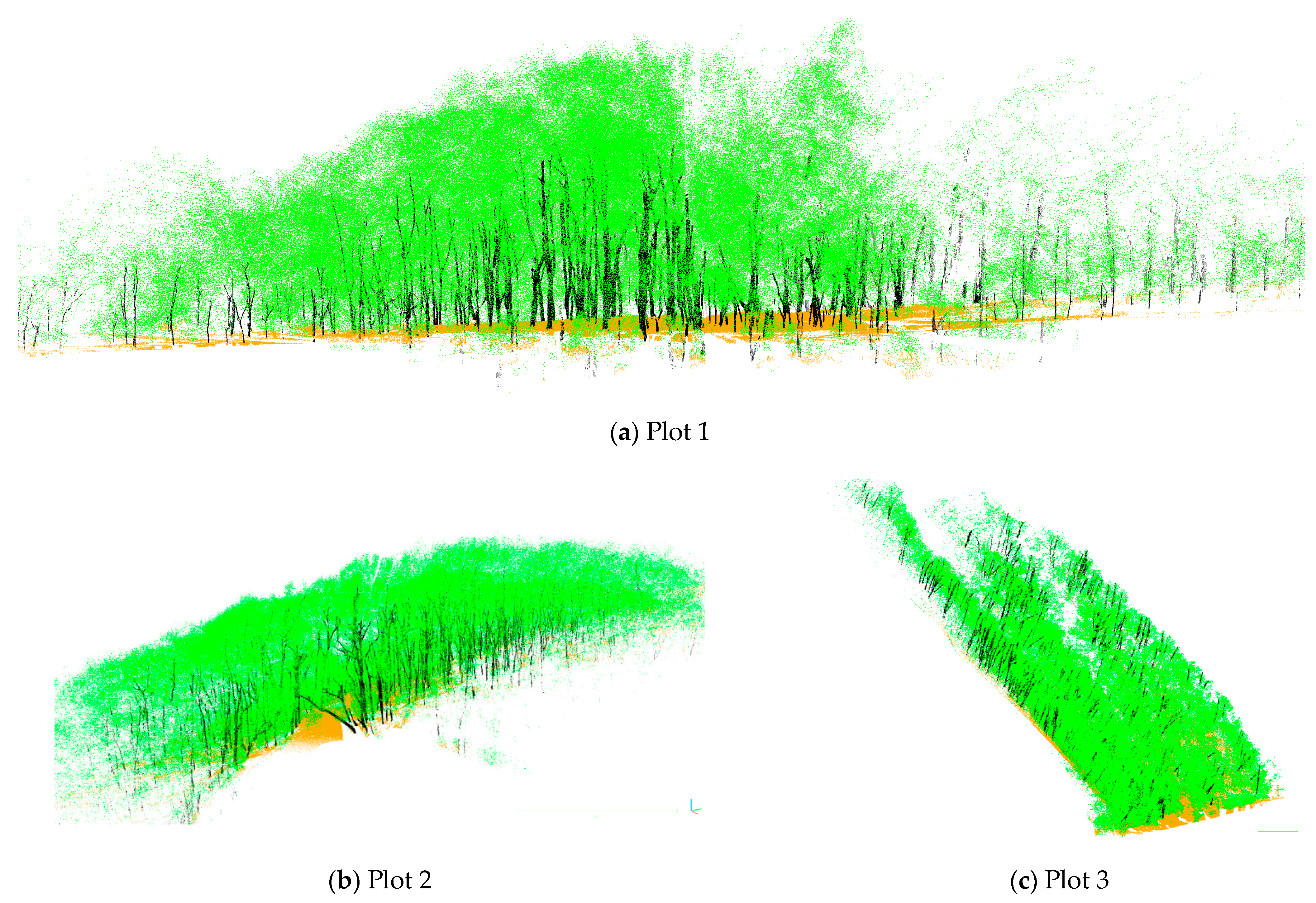 Forests 14 02035 g002