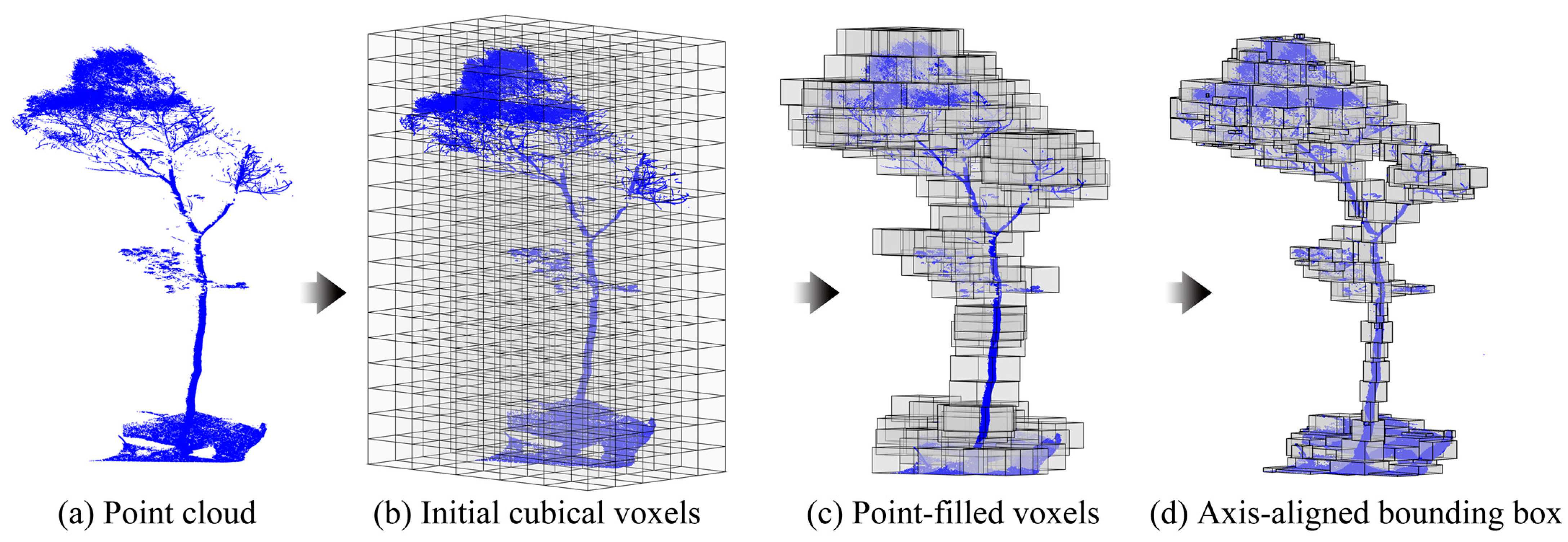 Forests 14 02035 g005
