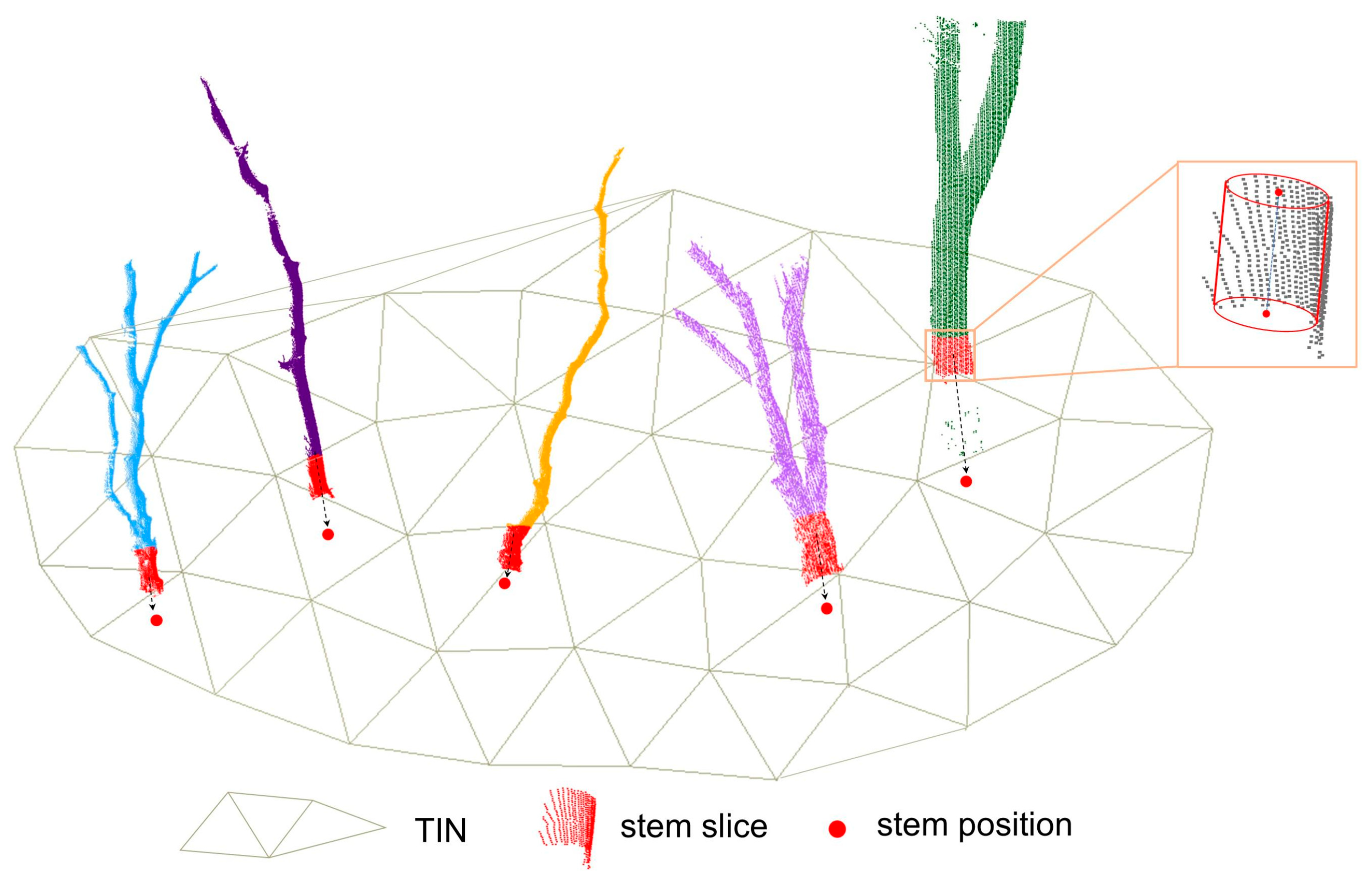 Forests 14 02035 g007
