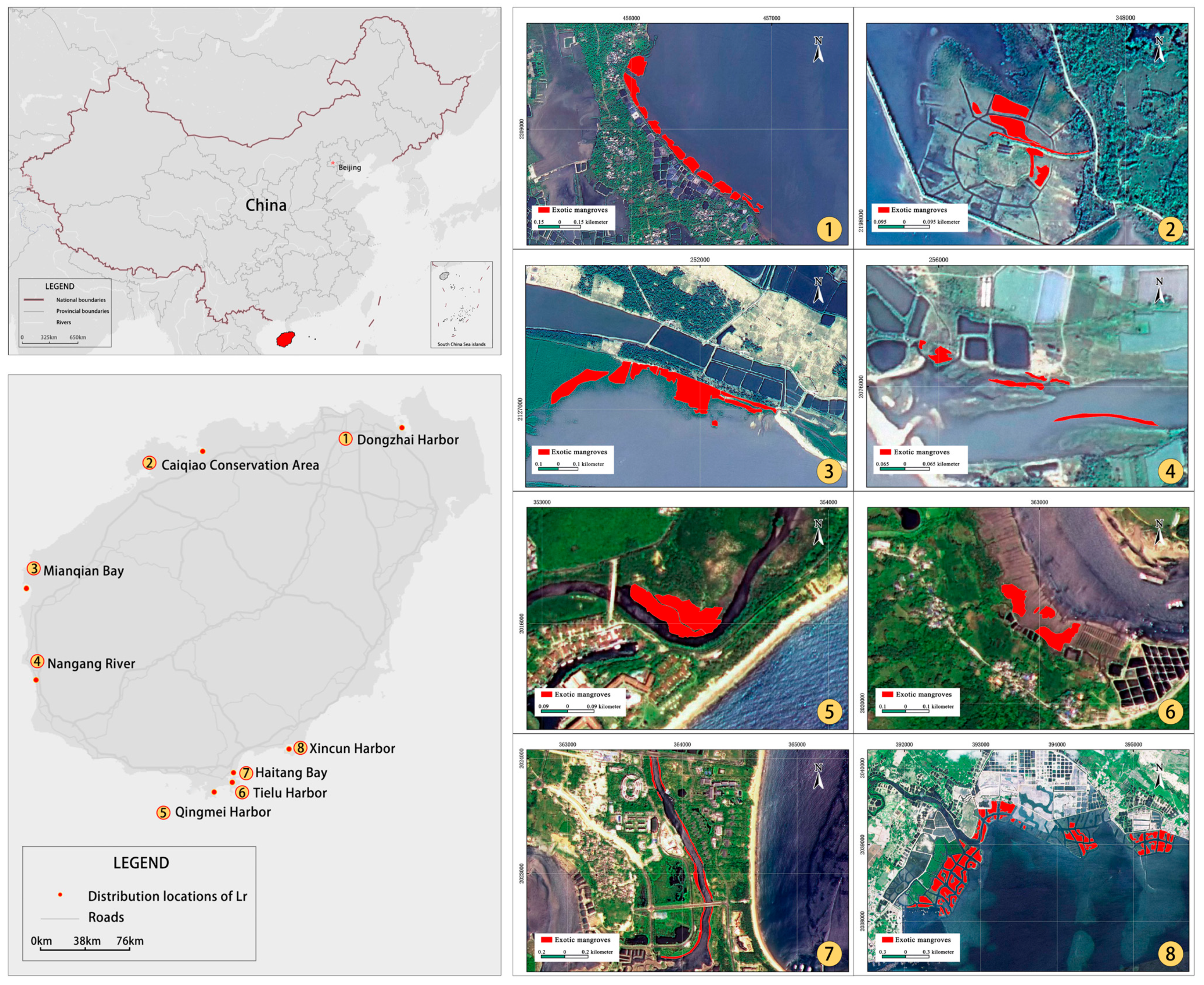 Forests 14 02036 g001