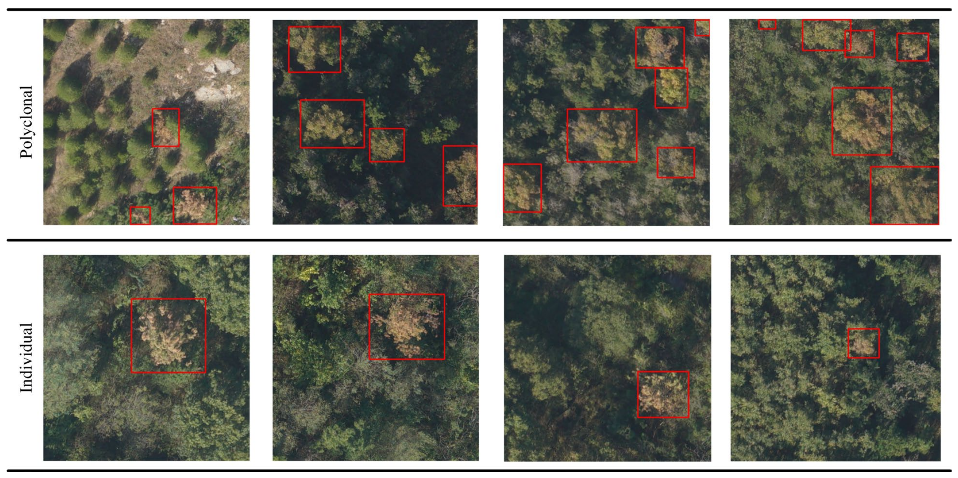 Forests 14 02052 g003