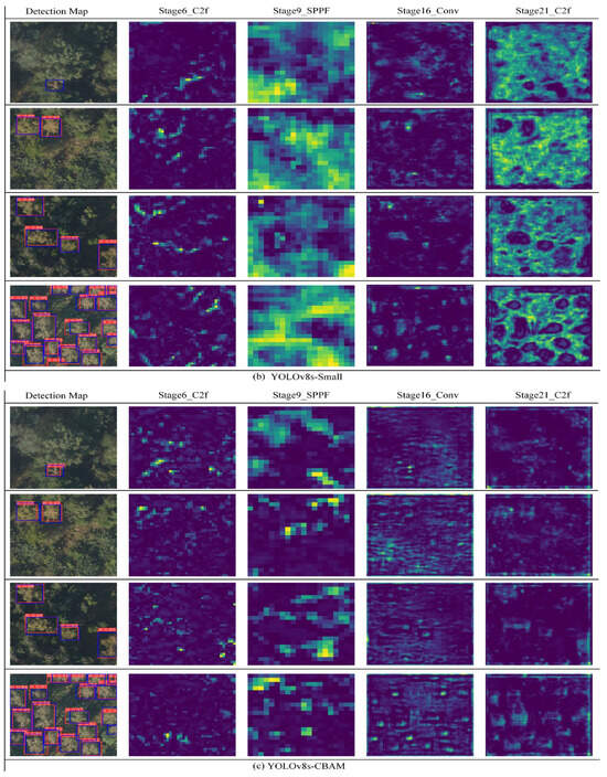 Forests 14 02052 g0a1b