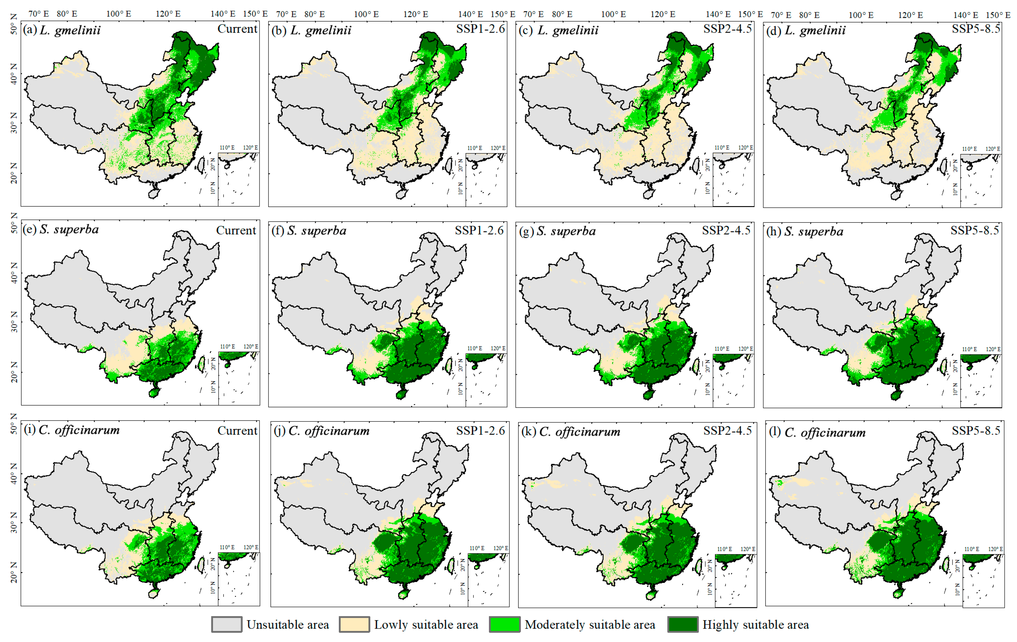 Forests 14 02053 g006