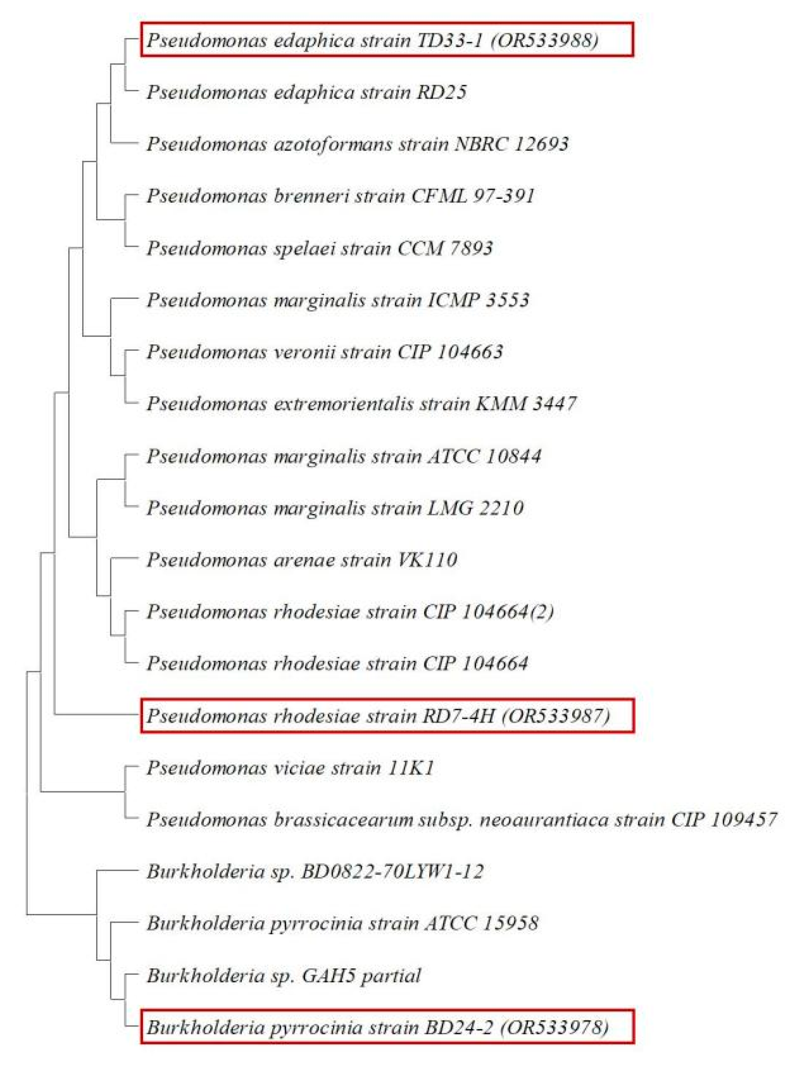 Forests 14 02061 g004