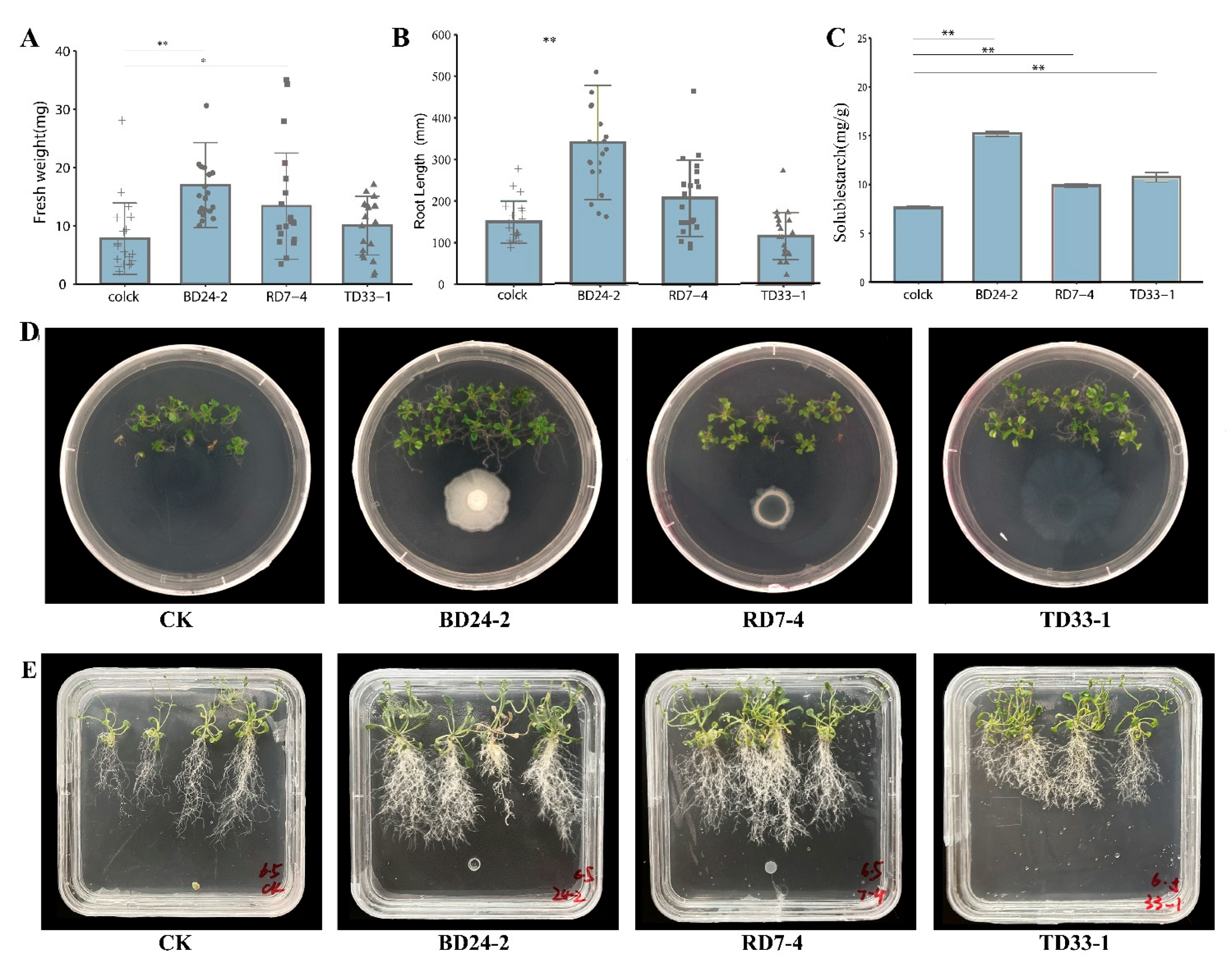 Forests 14 02061 g005