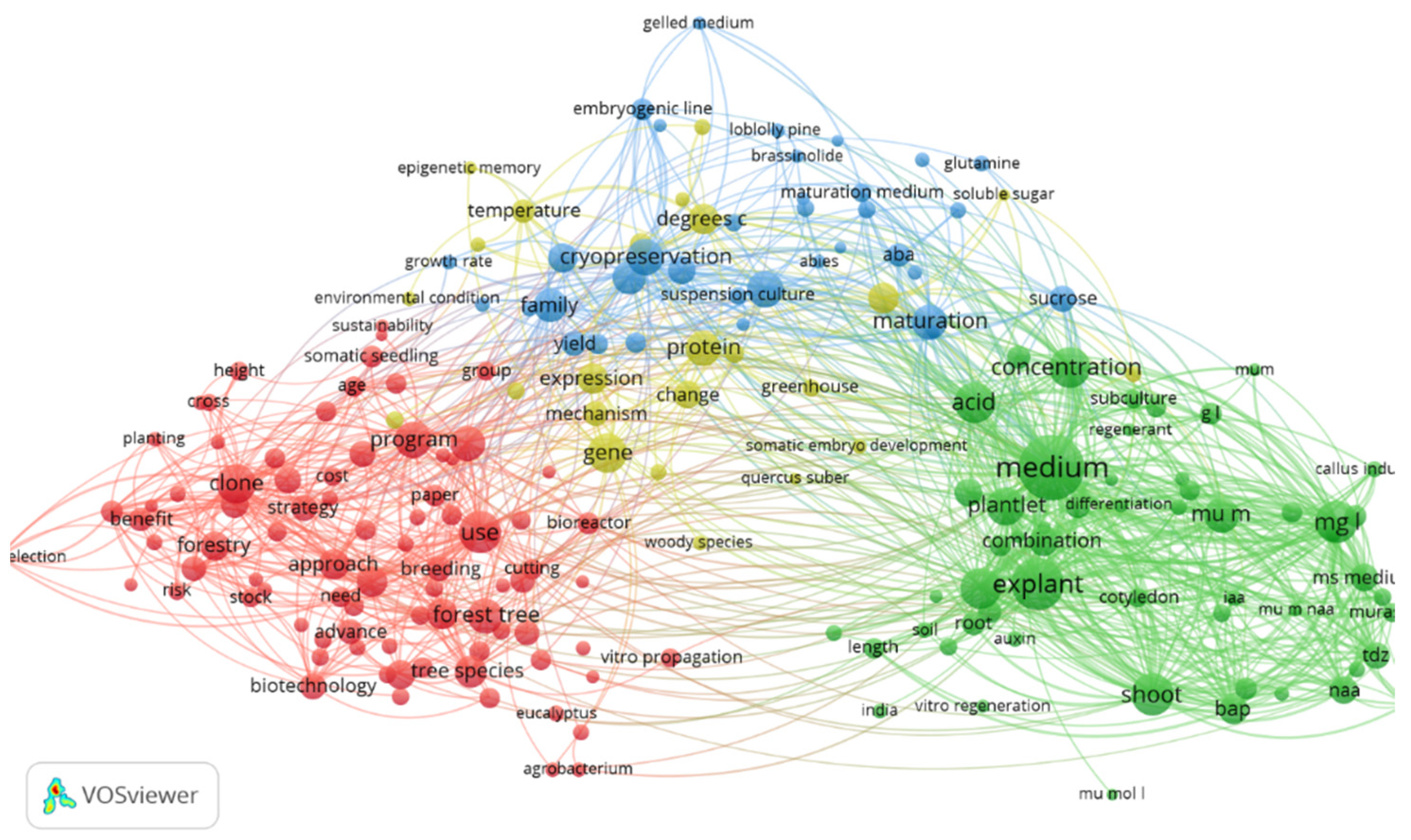 Forests 14 02066 g004