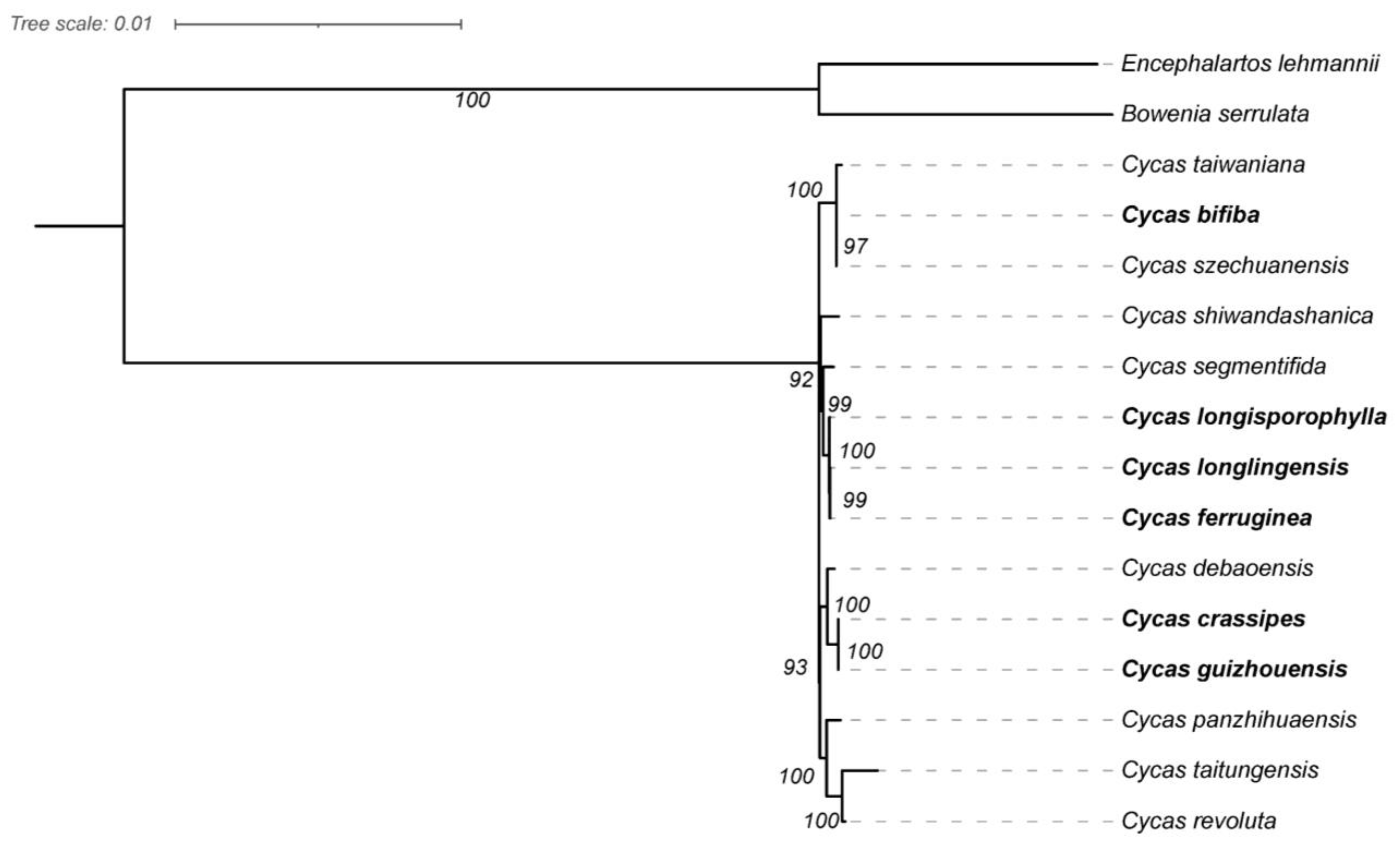 Forests 14 02069 g006