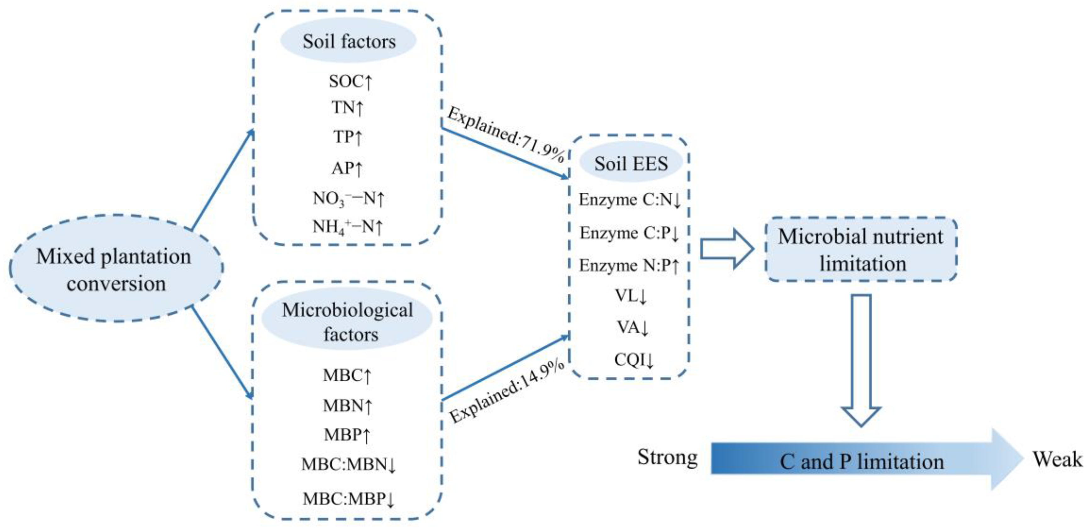 Forests 14 02070 g008