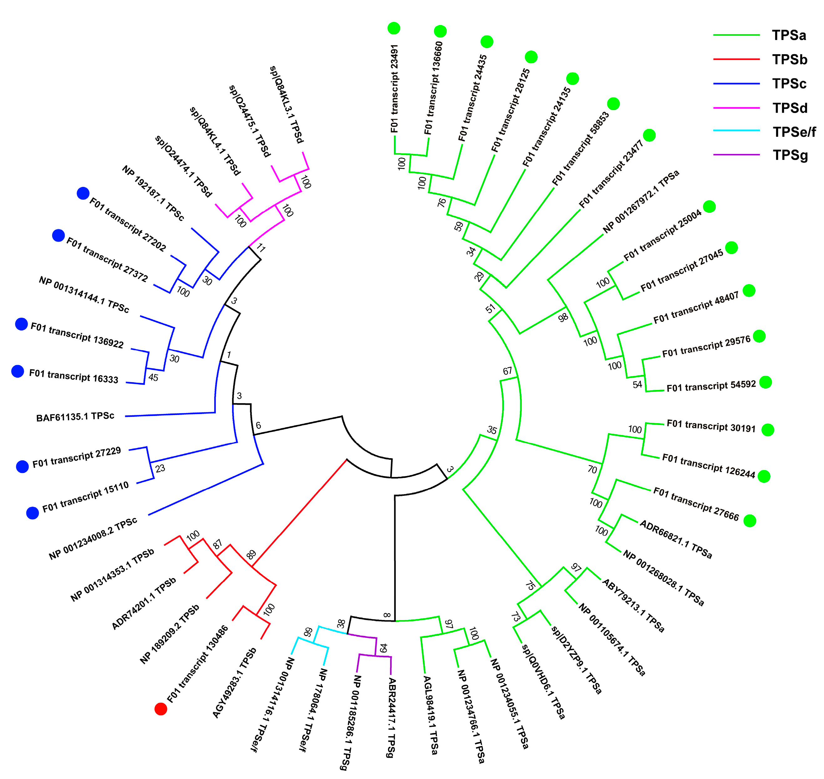 Forests 14 02075 g013