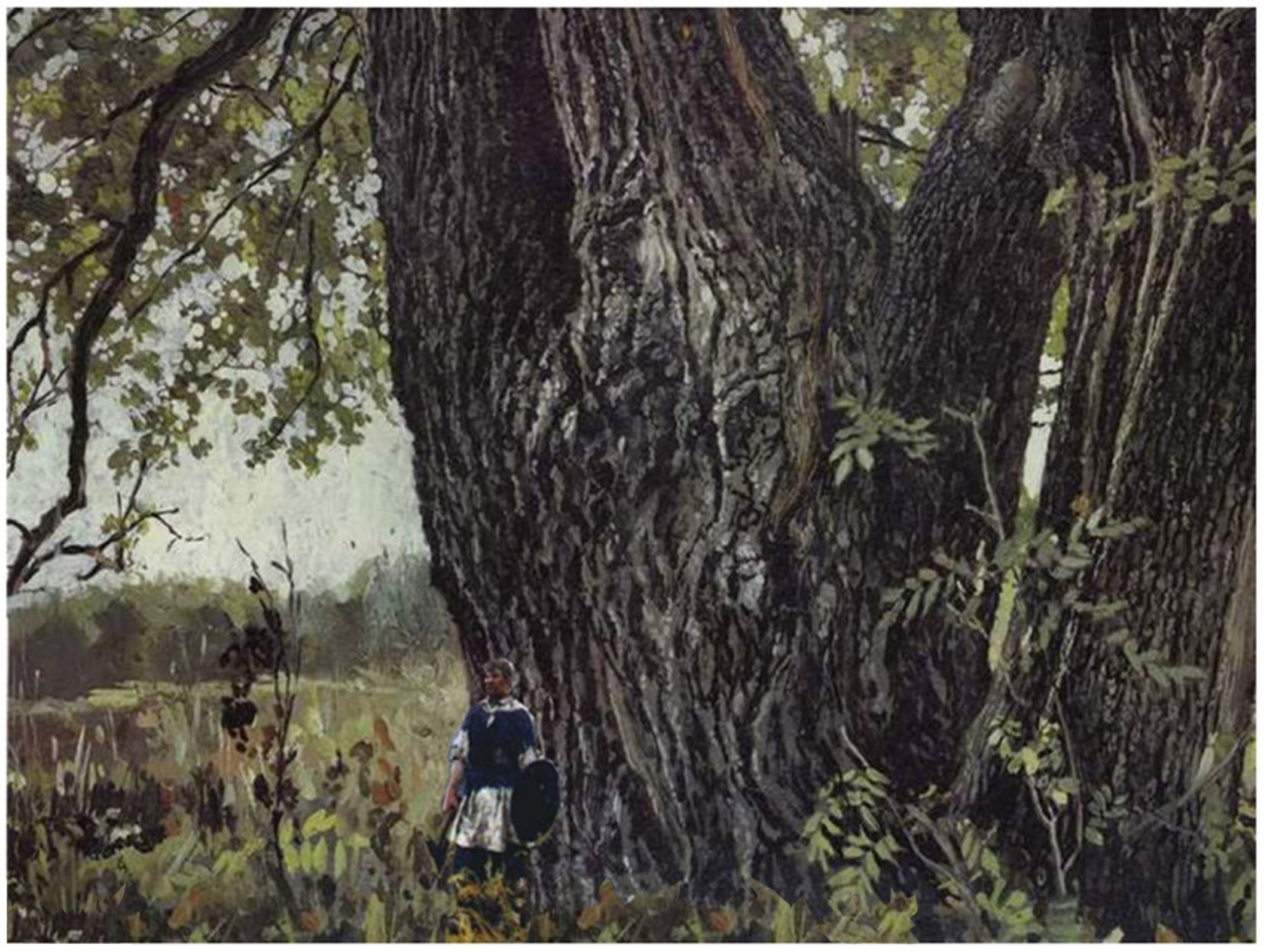 Forests 14 02079 g002