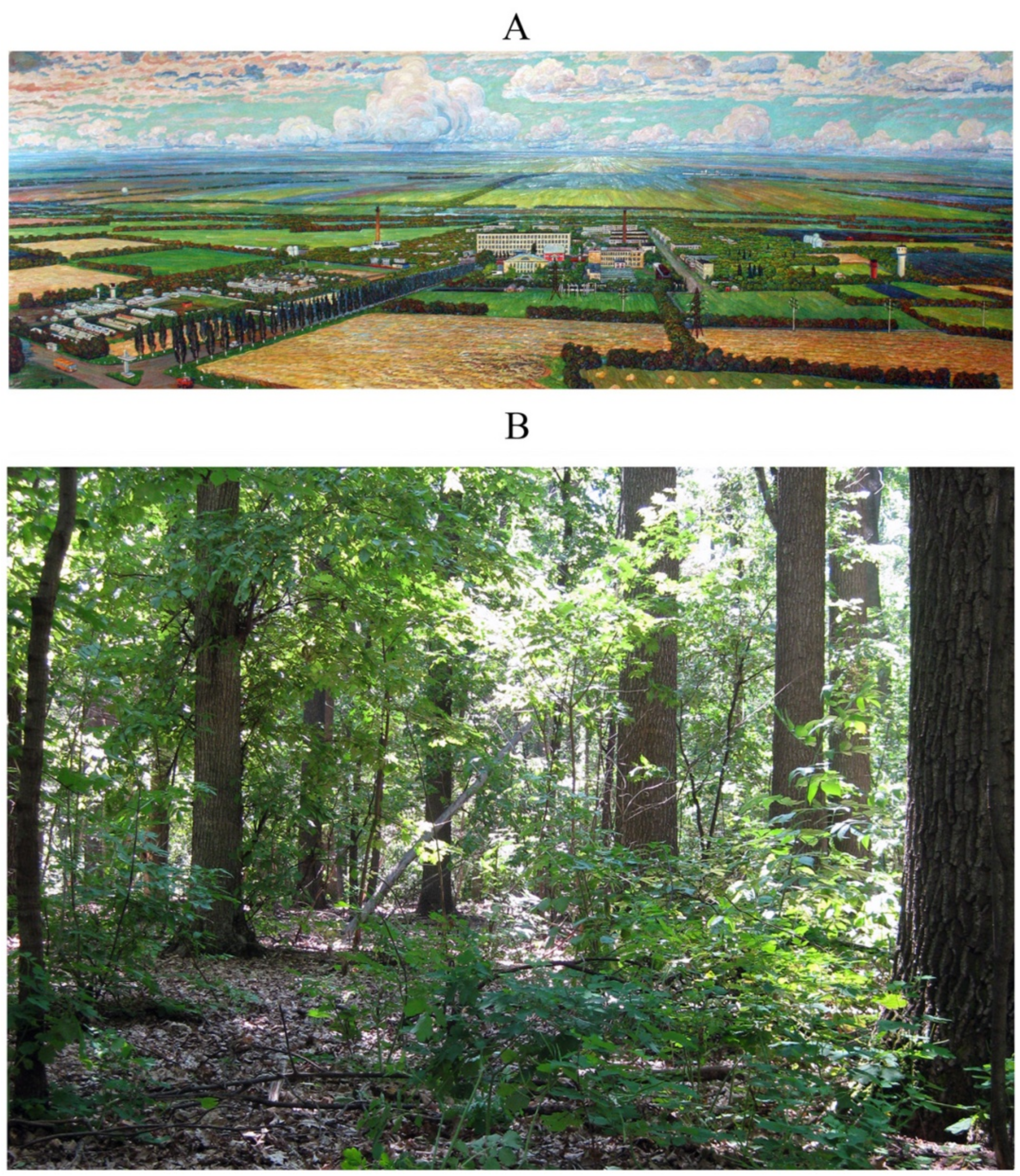 Forests 14 02079 g004