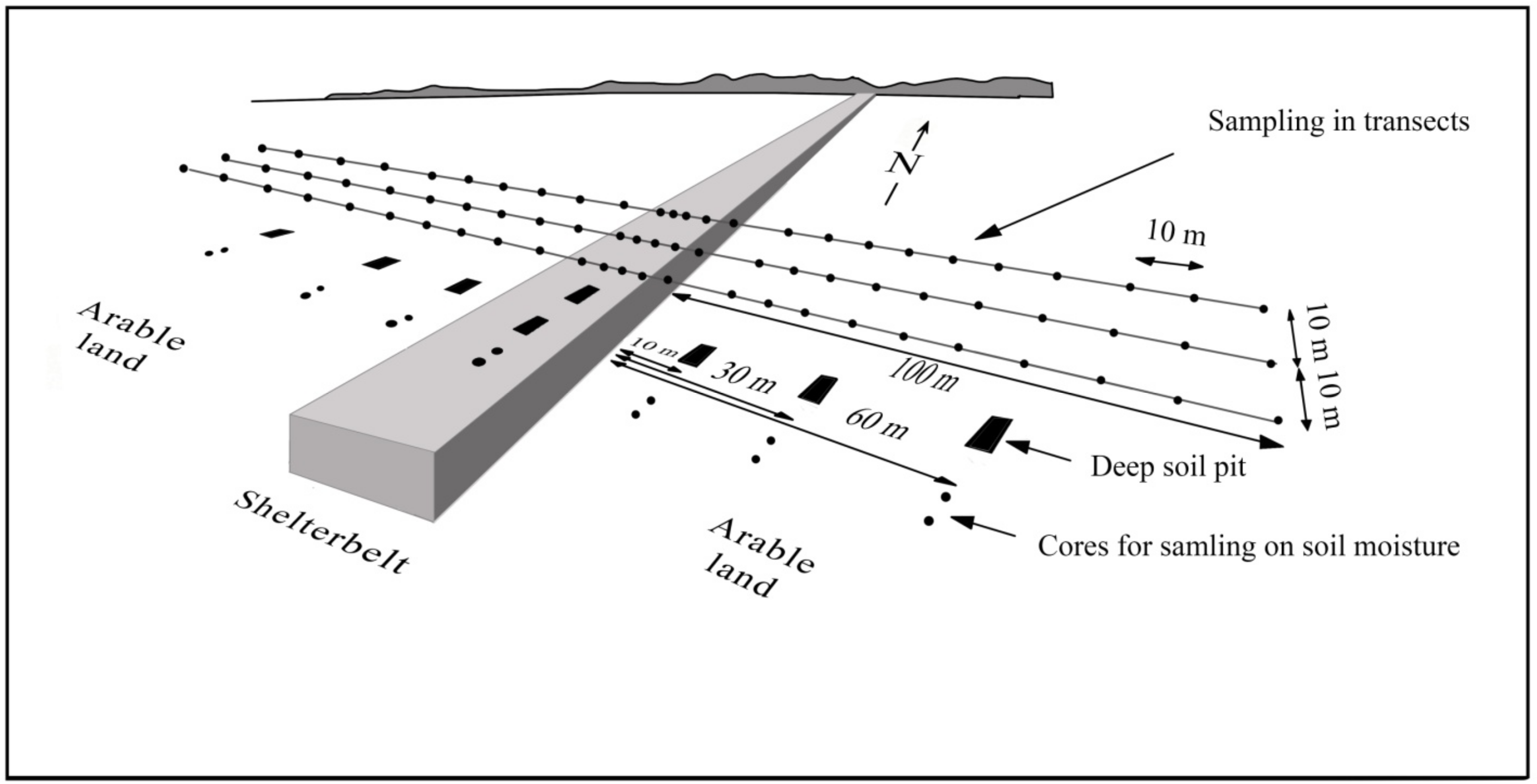 Forests 14 02079 g007