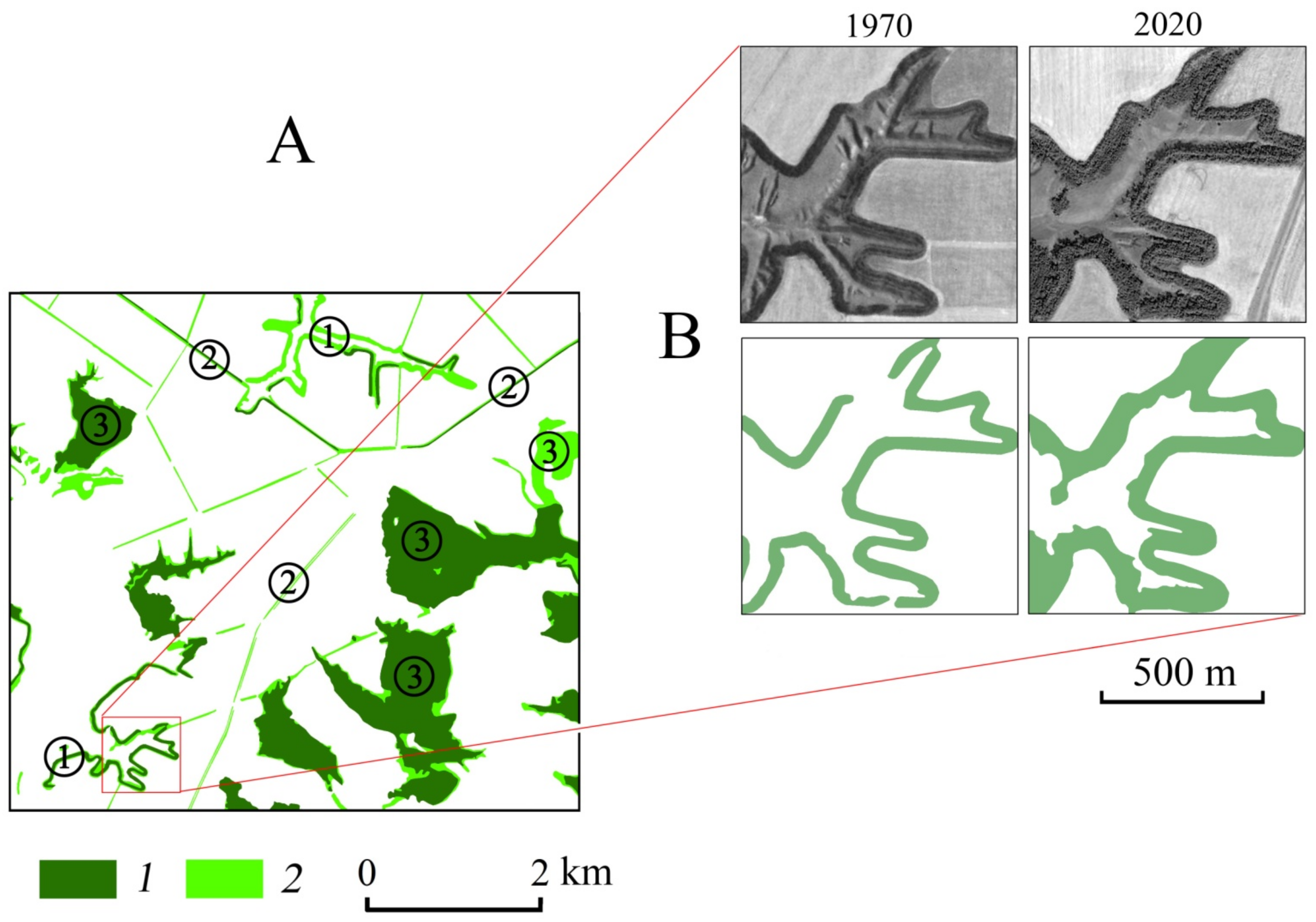Forests 14 02079 g009